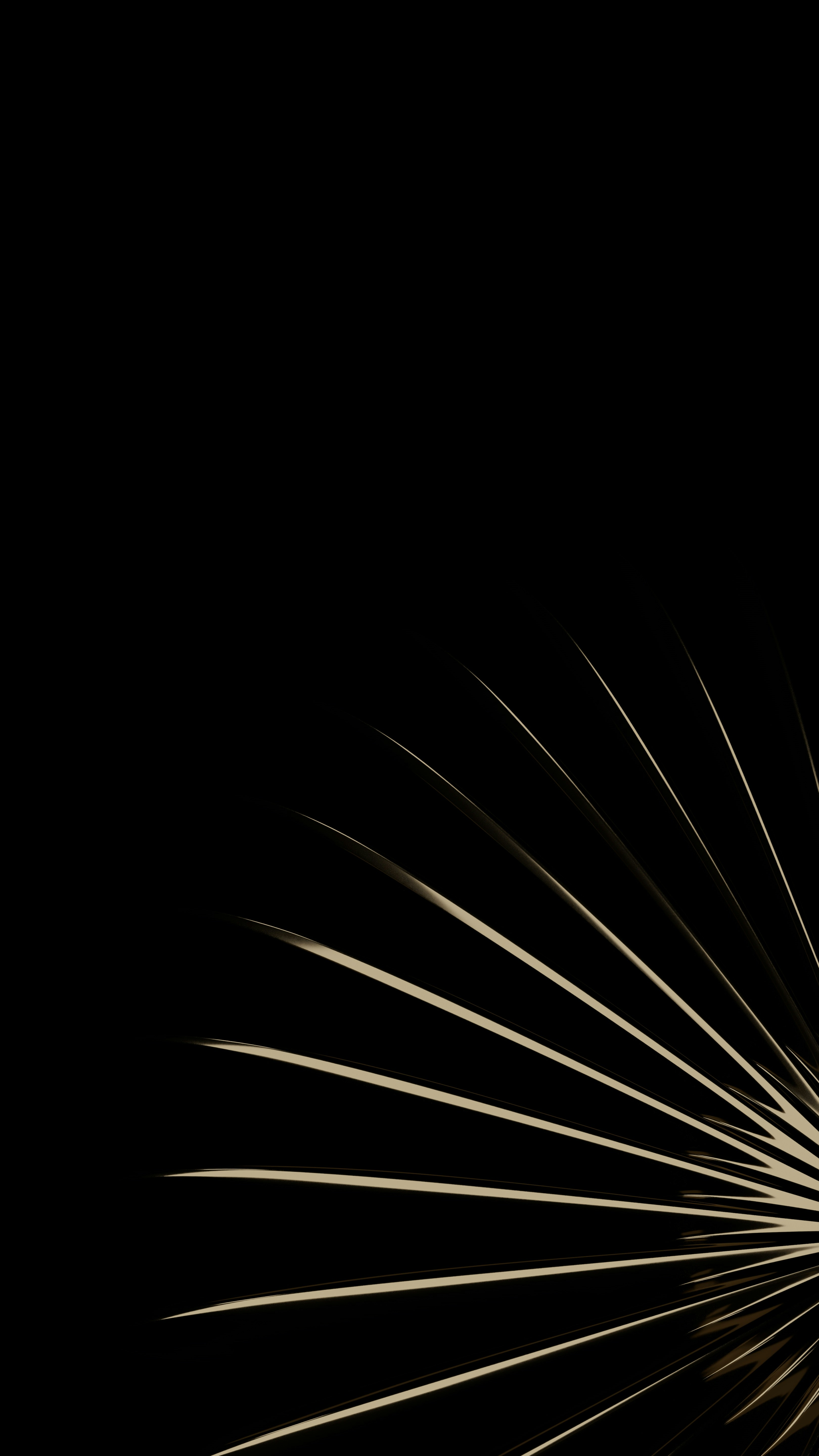 Photo by thekamranzadeh