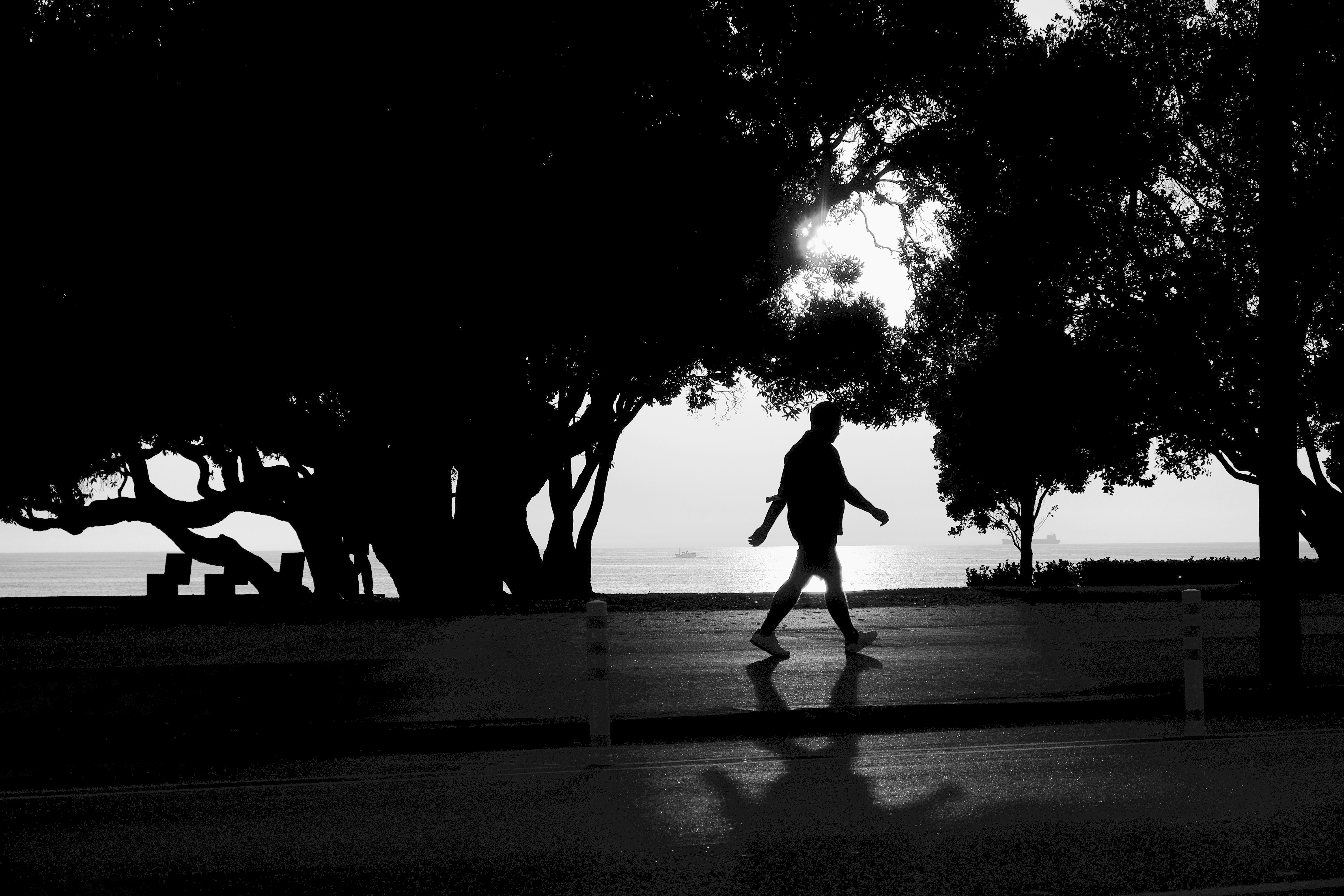 Photo by j_paulo_mag