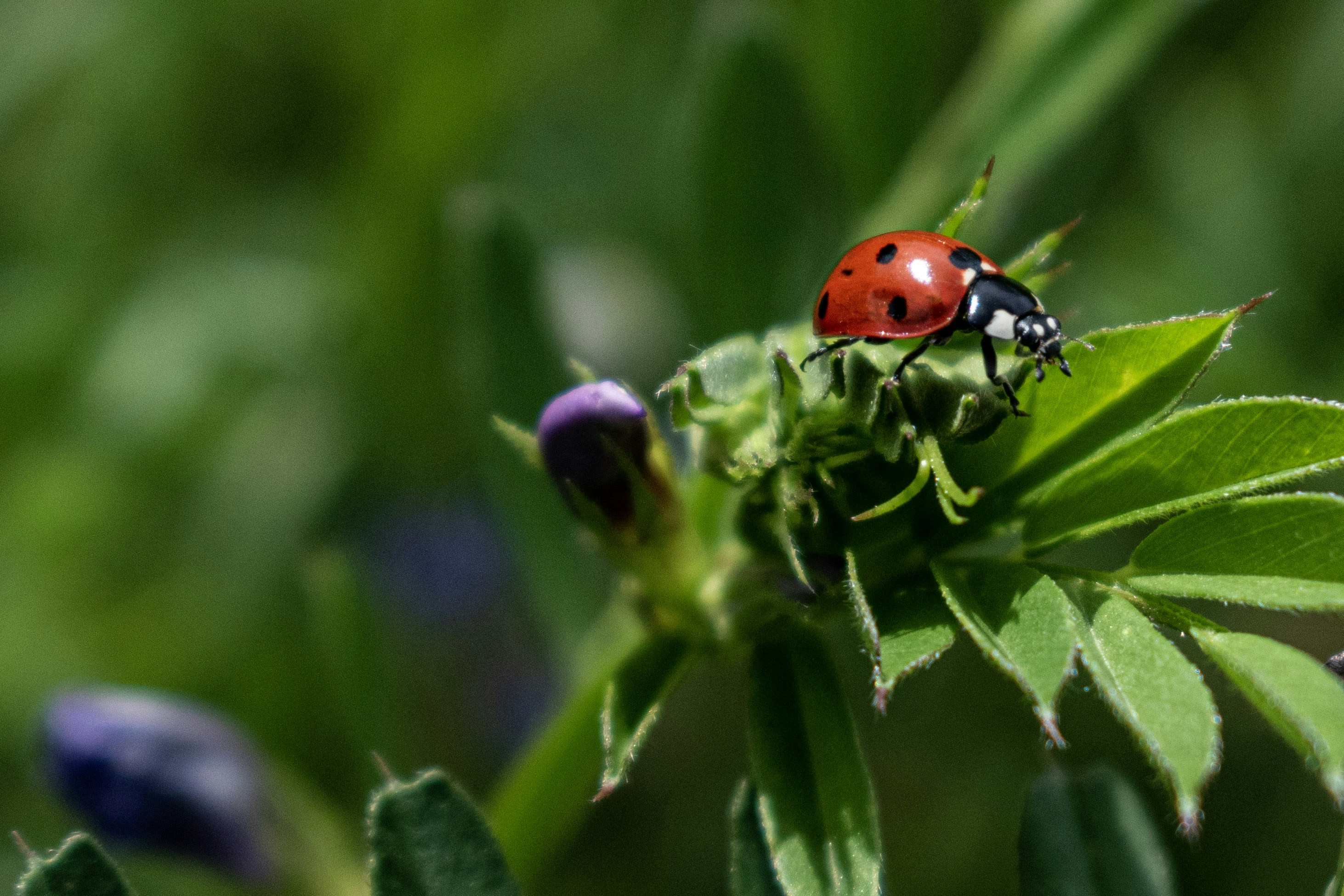 Photo by elisastonephotography