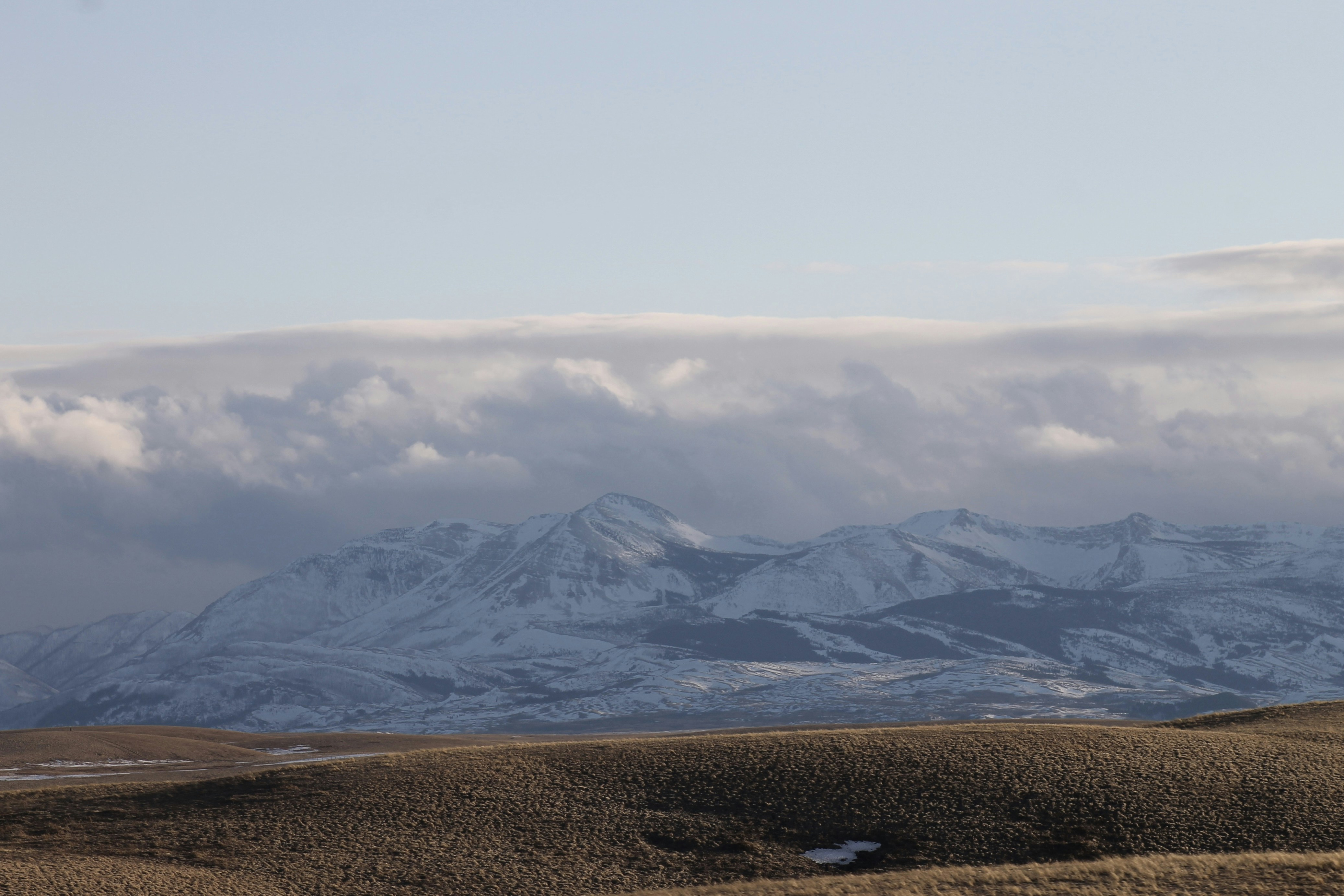 Photo by nicolecavelli