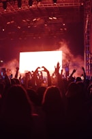 Fans raising their hands in unison during an energetic festival set.