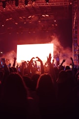 Fans raising their hands and cheering in front of a smoky stage.