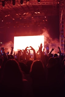 Fans raising their hands and cheering in front of a smoky stage.