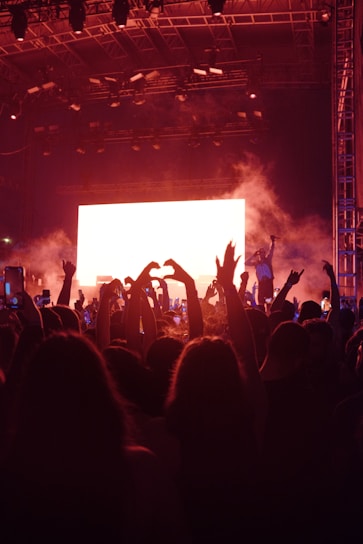 a crowd of people at a concert with their hands in the air