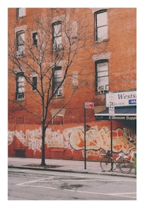 A brick building with several windows partially covered by graffiti. A leafless tree stands in front of the building, and a bicycle is parked next to a pole on the sidewalk. An overcast sky gives the scene a muted color palette, and a sign for a hardware store is partially visible.