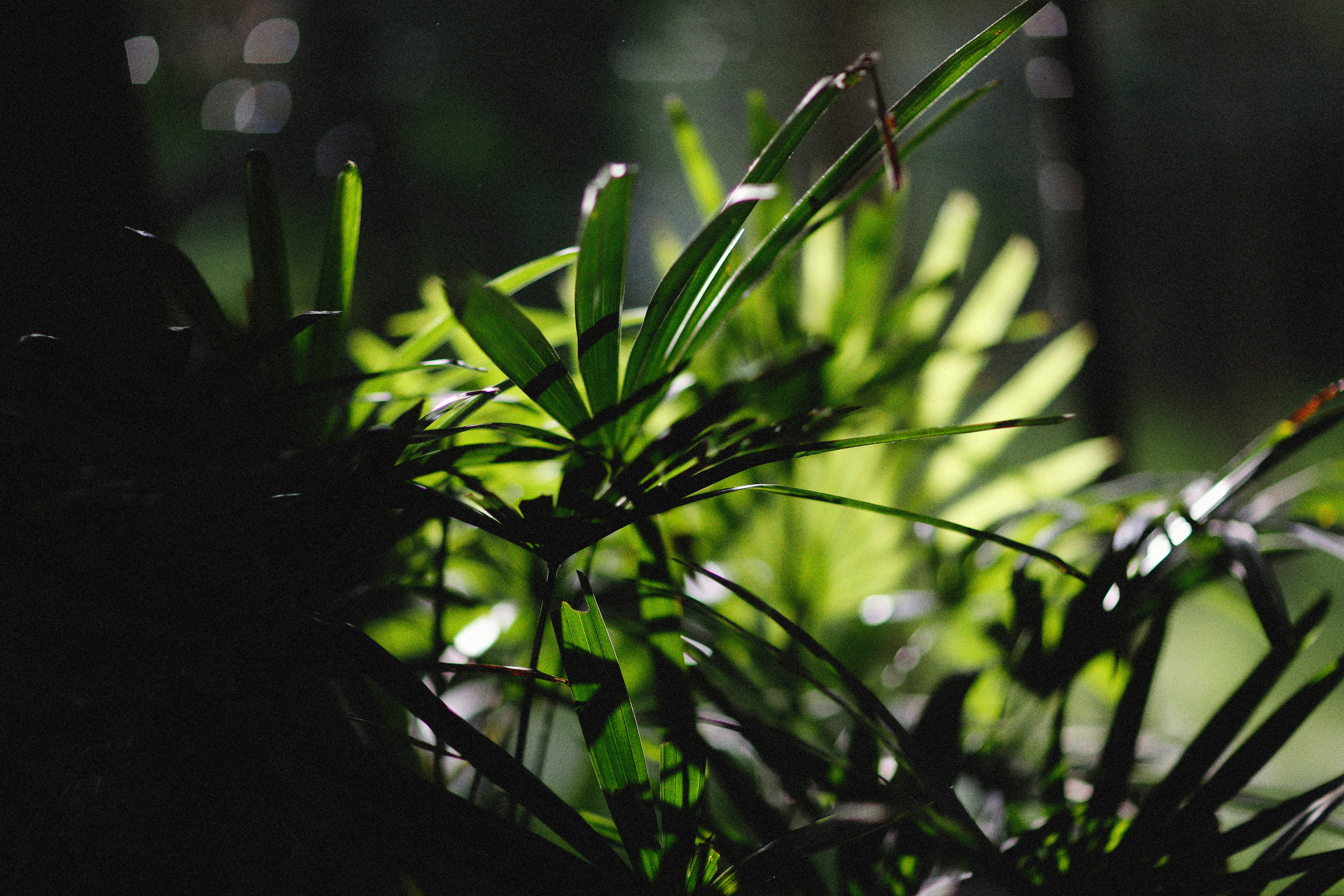 Photo by alexeydemidov