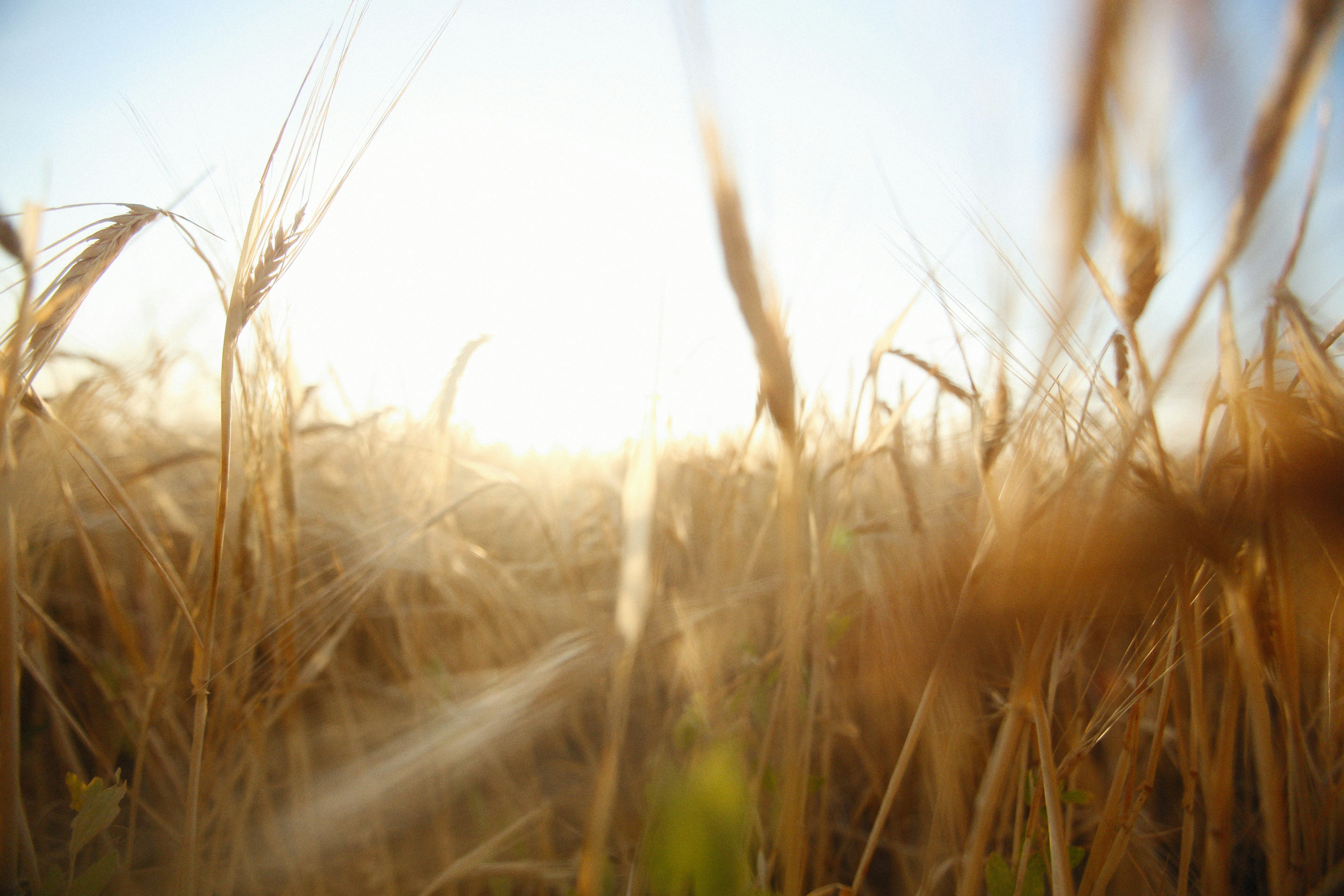 Photo by alexeydemidov