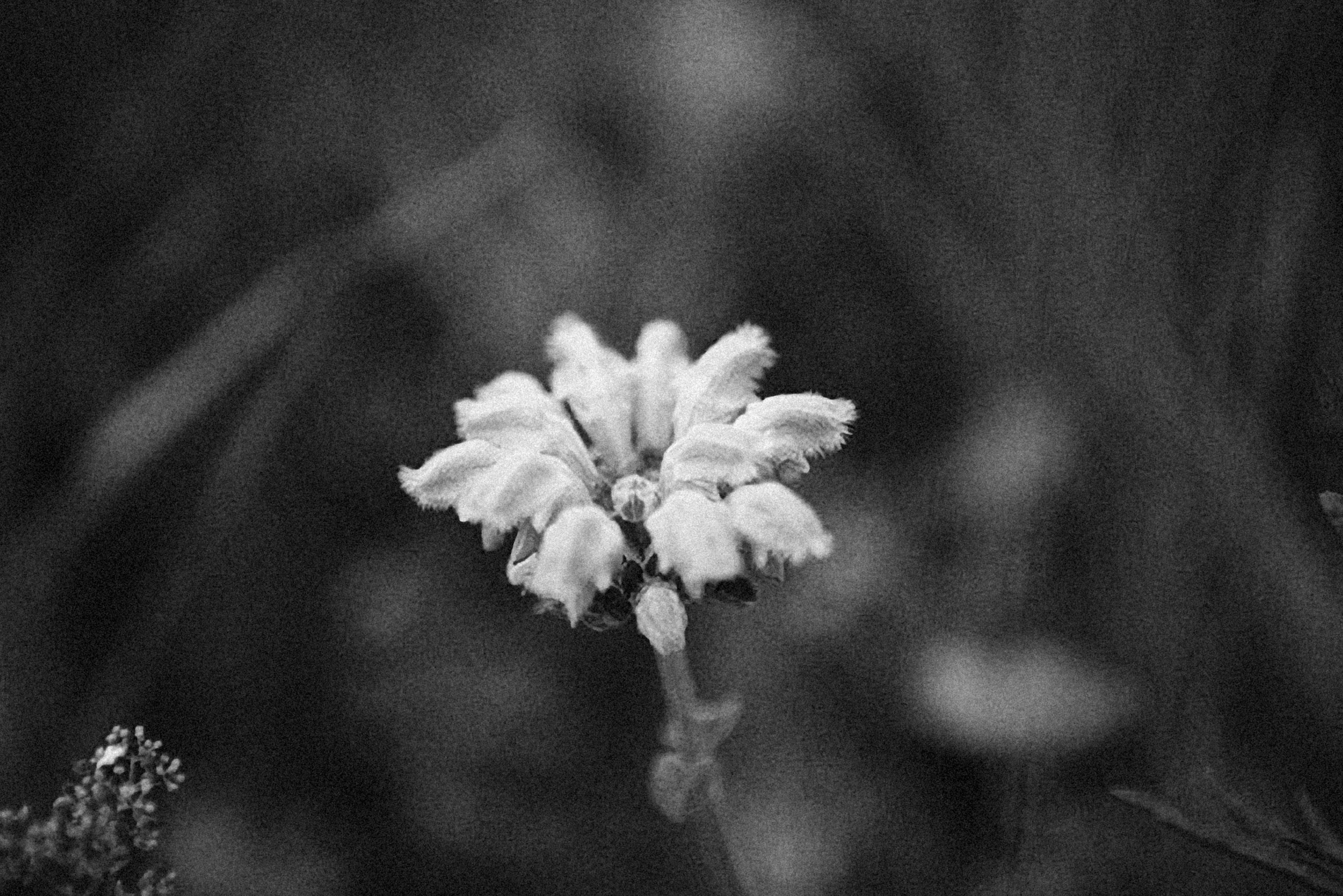 Photo by alexeydemidov