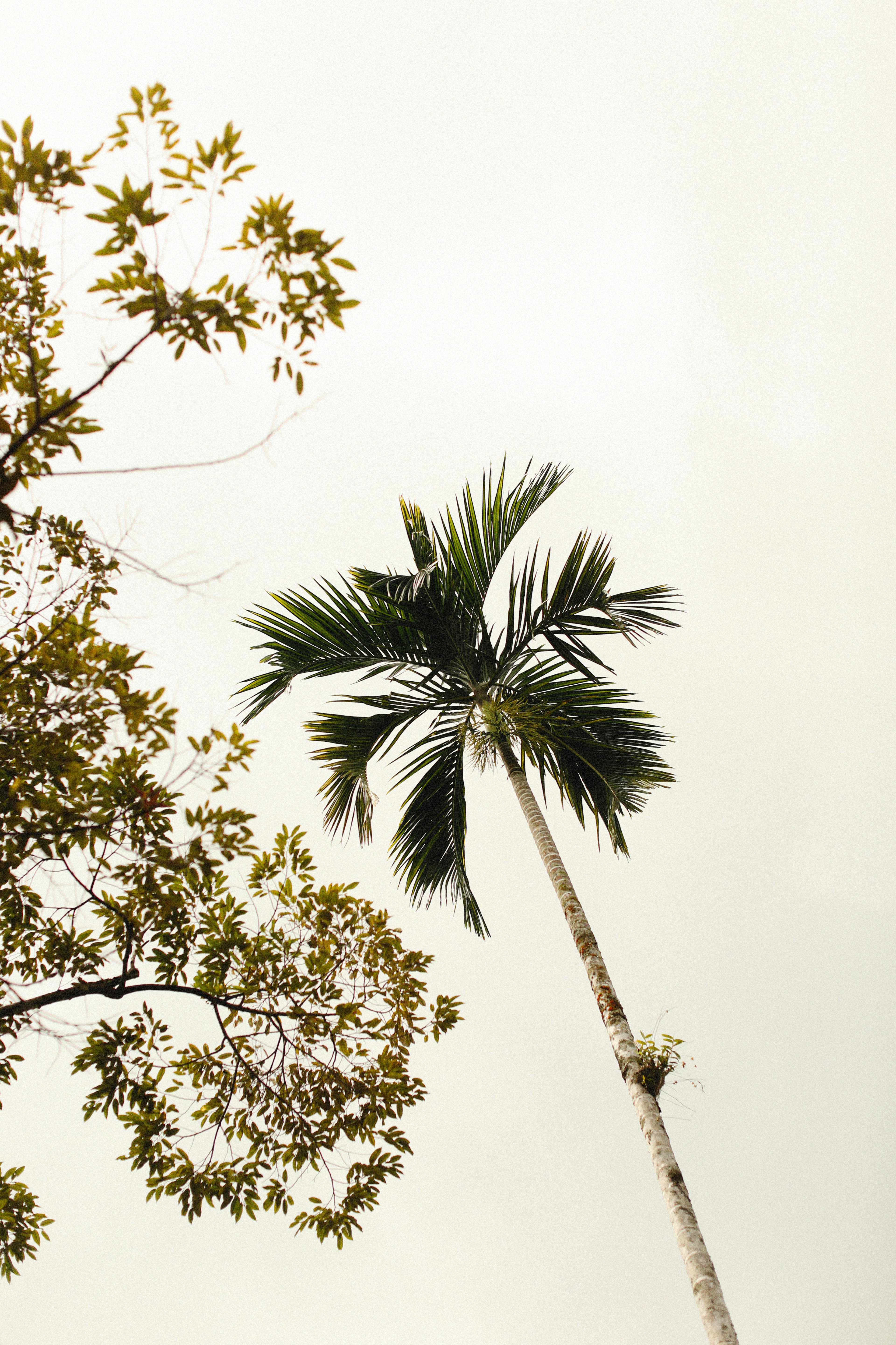 Photo by alexeydemidov