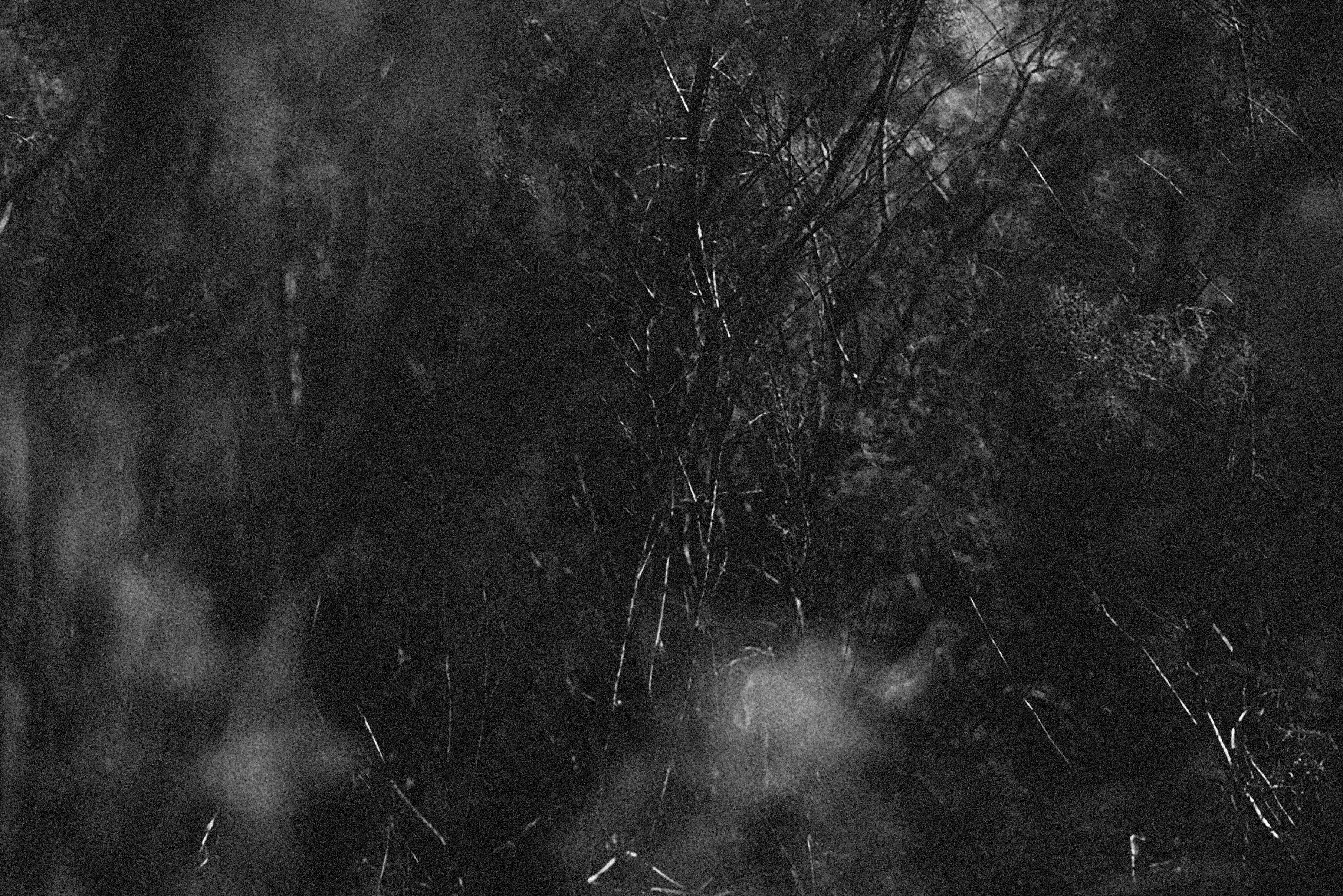 Photo by alexeydemidov