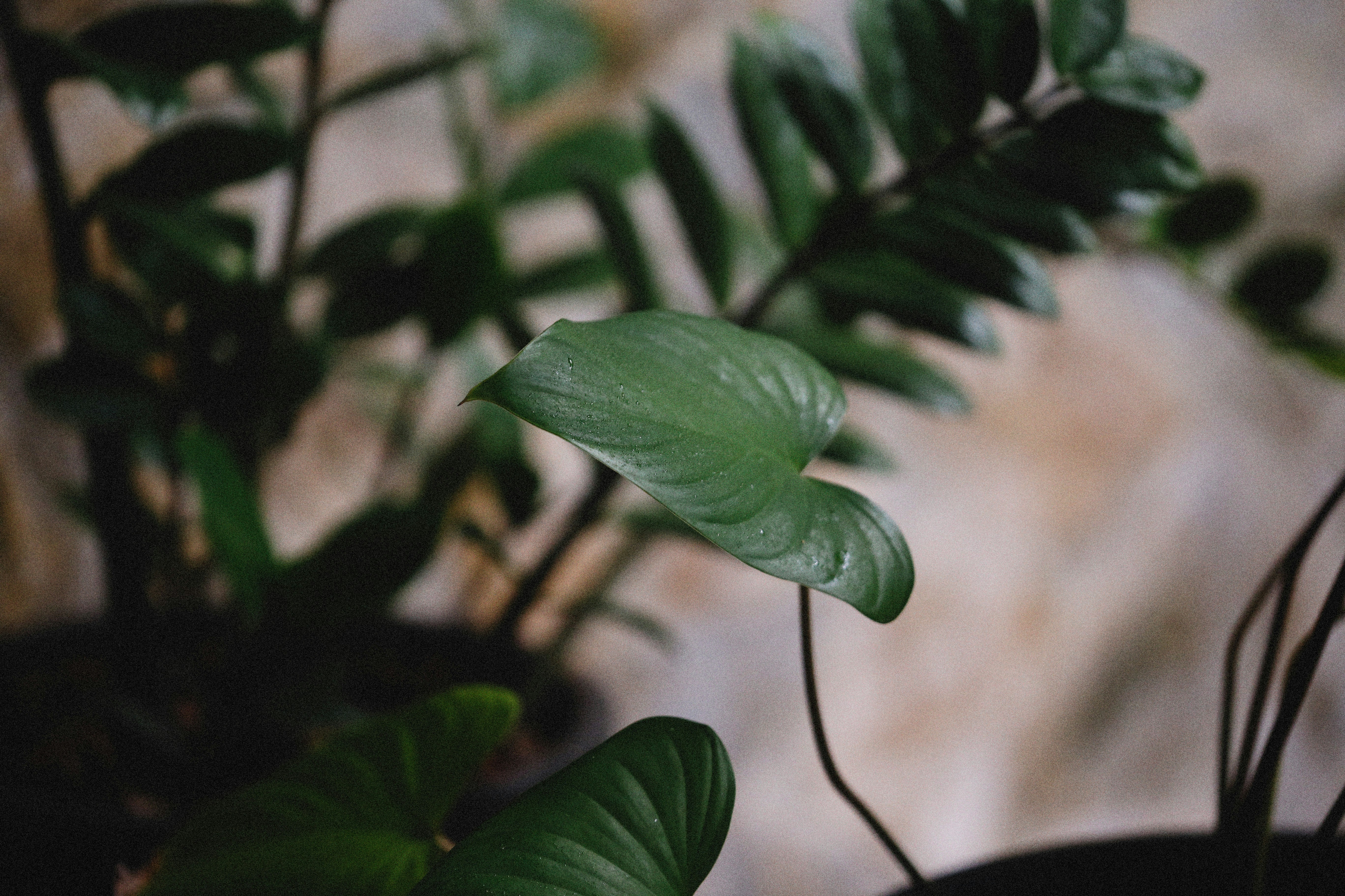 Photo by alexeydemidov