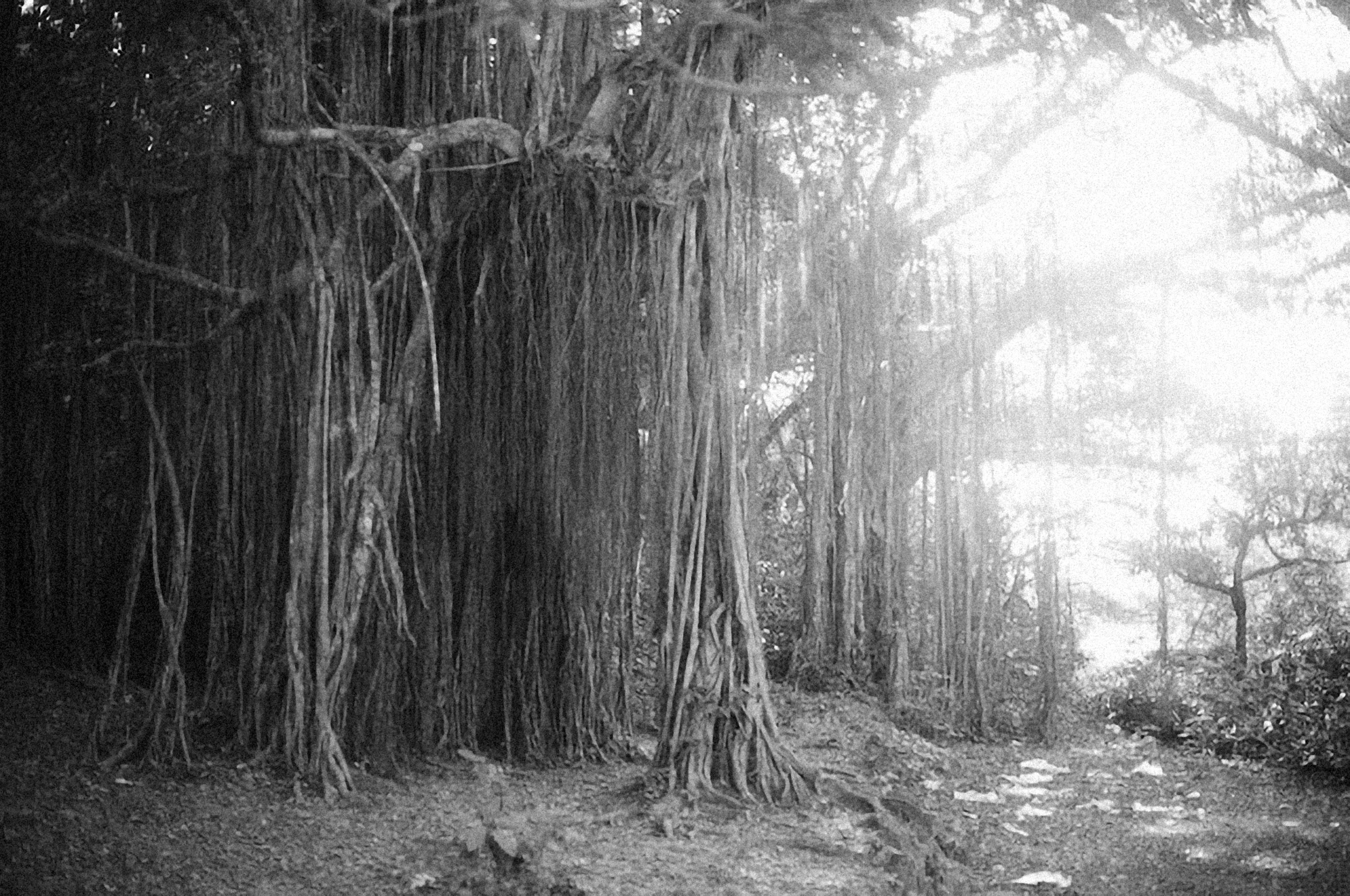 Photo by alexeydemidov