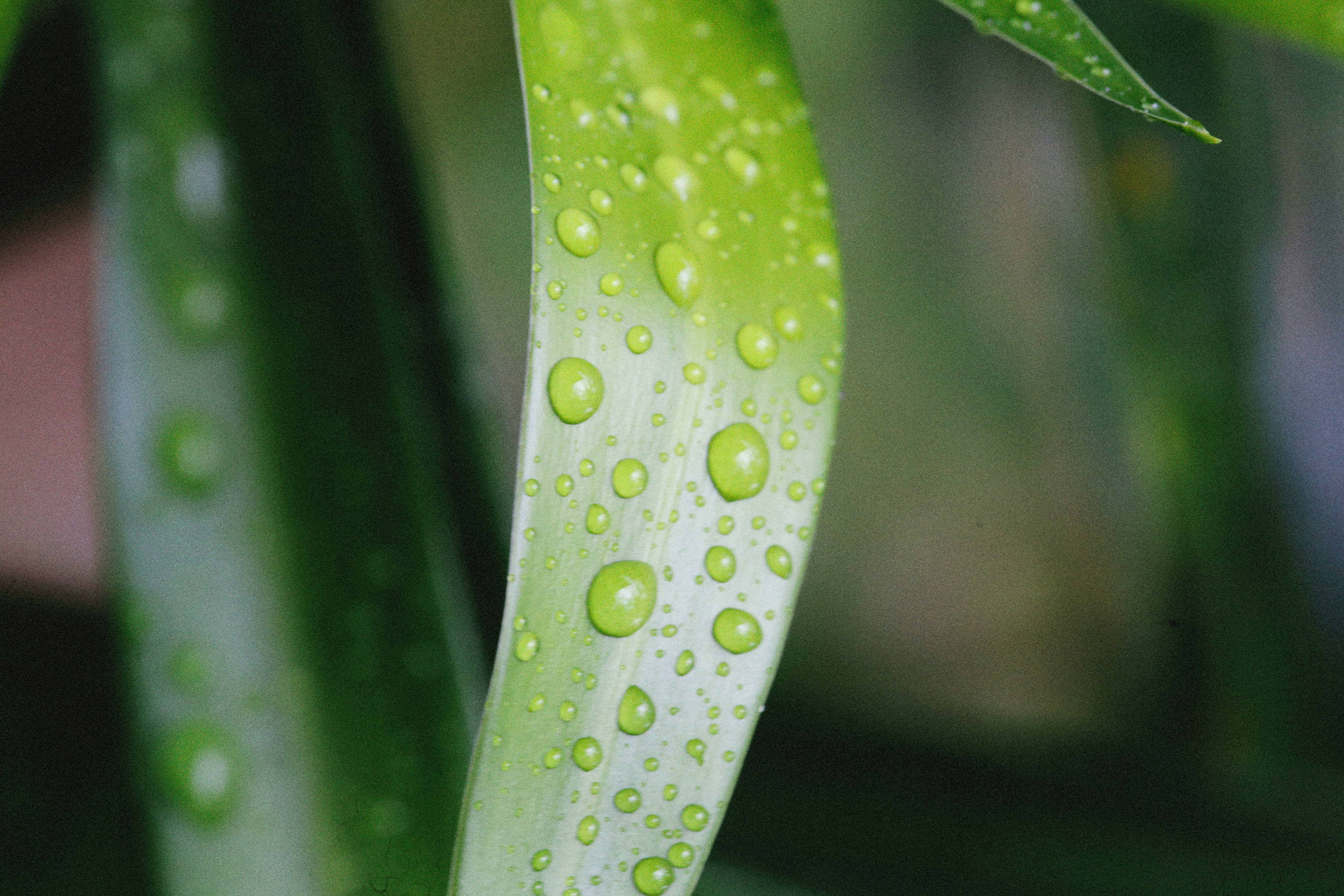 Photo by alexeydemidov