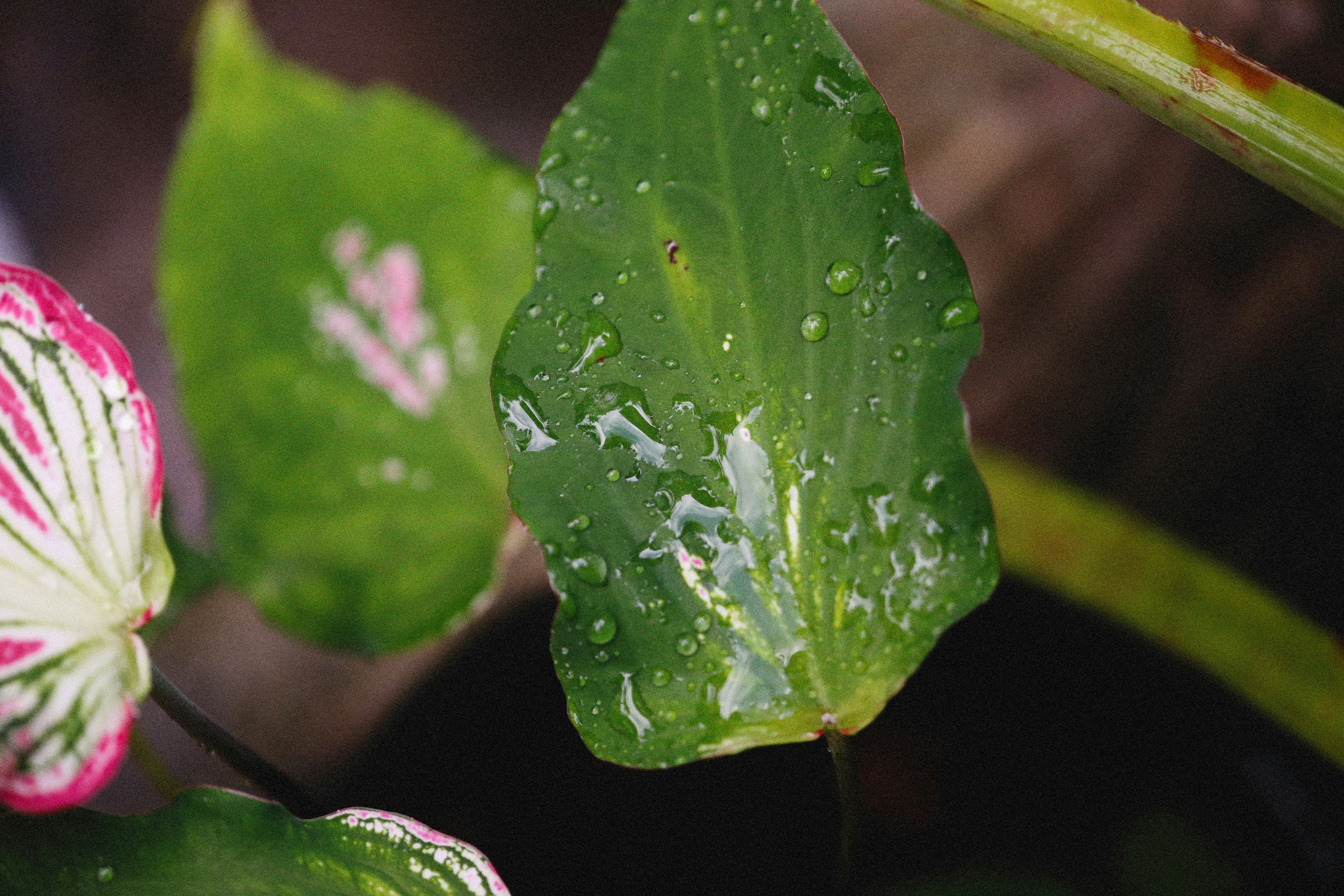 Photo by alexeydemidov