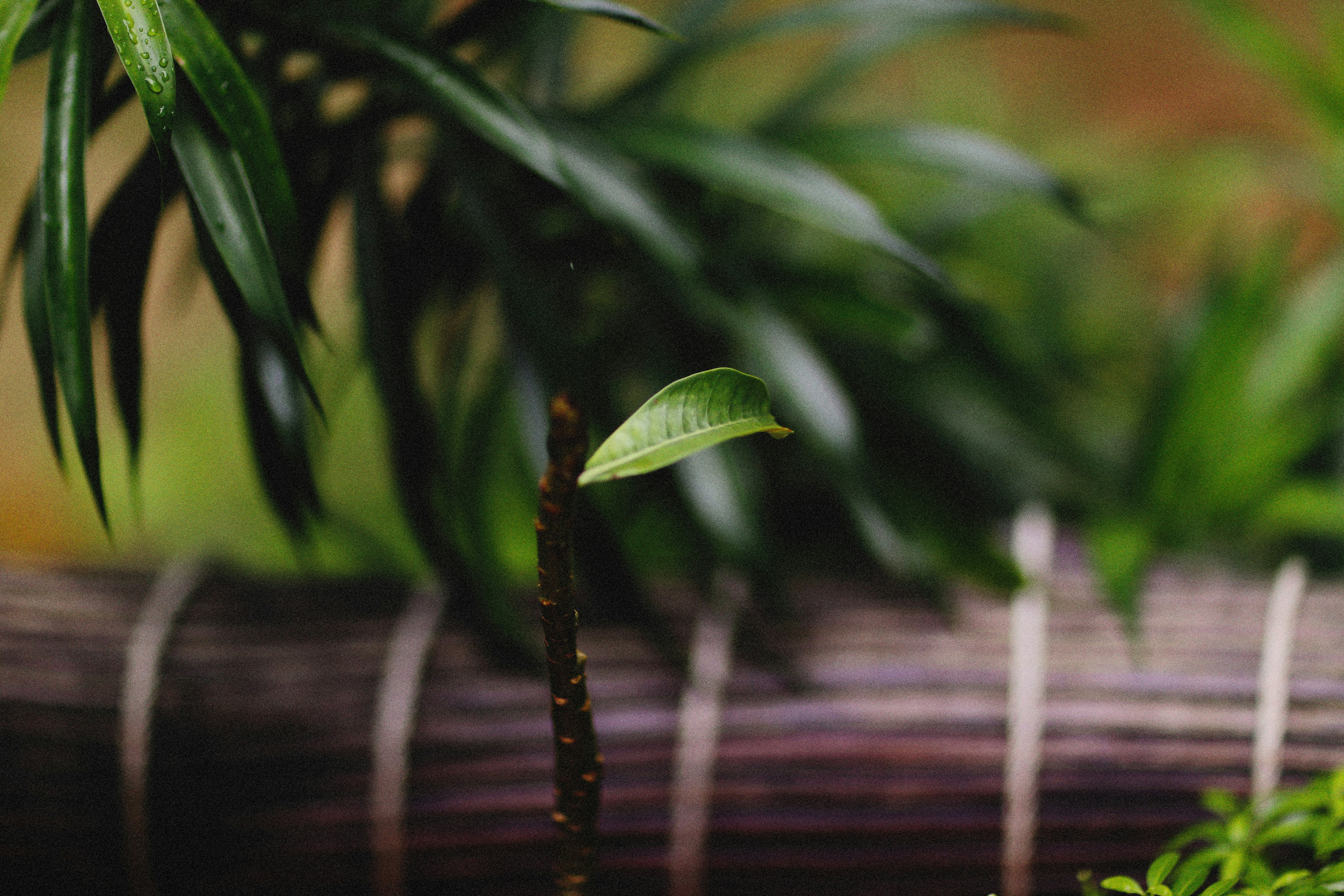 Photo by alexeydemidov