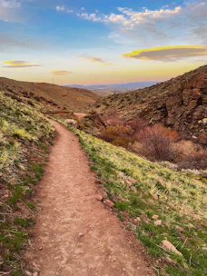 Sunset view over the rolling hills of Rancho El Rosario with a dirt path leading into the distance.