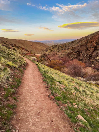 Sunset view over the rolling hills of Rancho El Rosario with a dirt path leading into the distance.