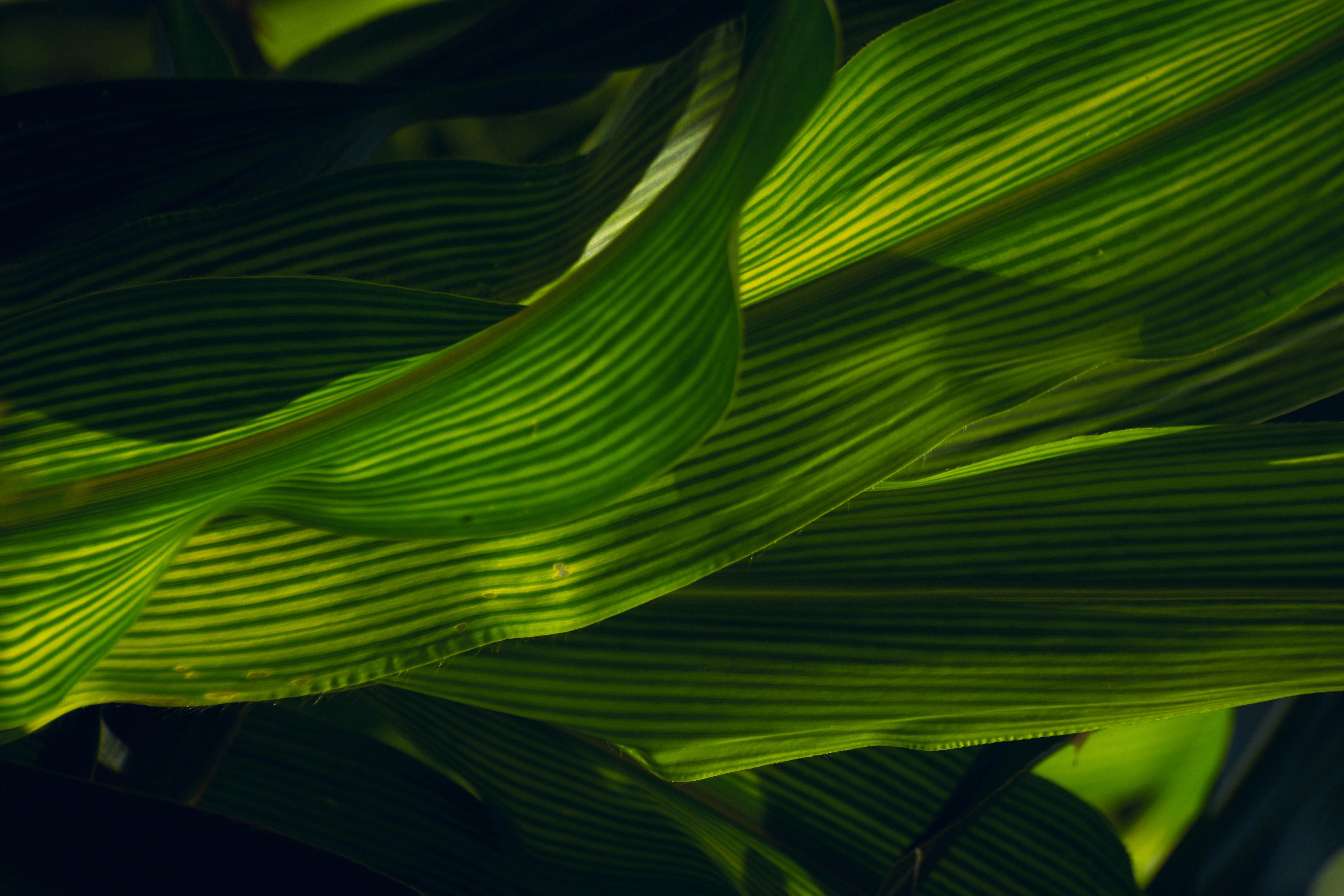 Photo by navi_photography