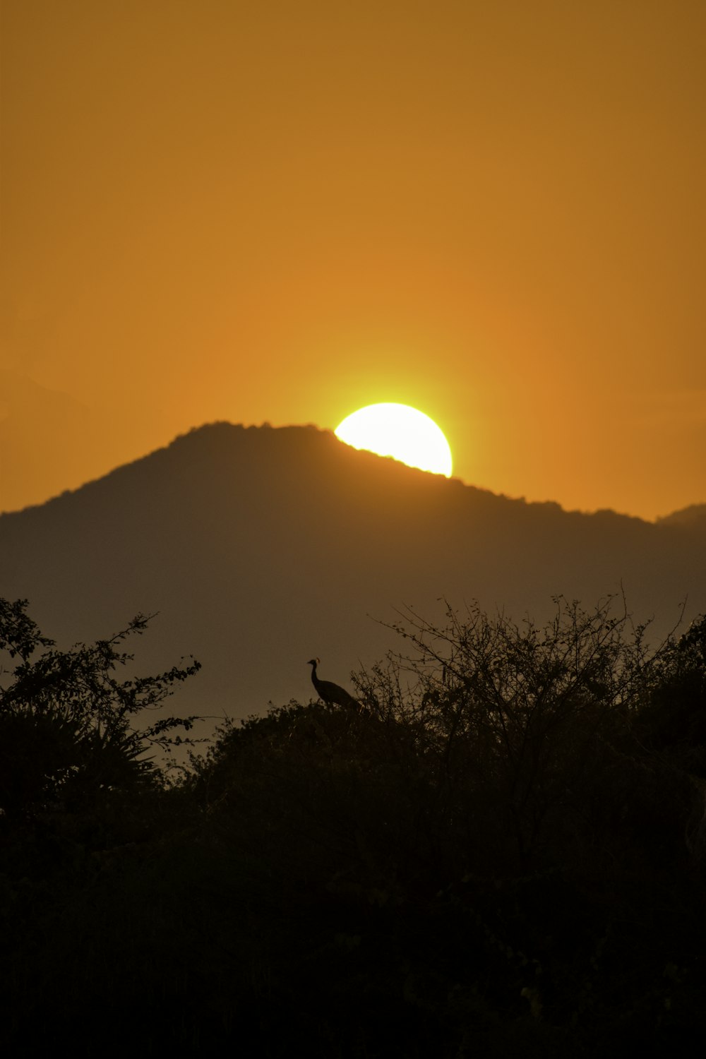 the sun is setting over a mountain range