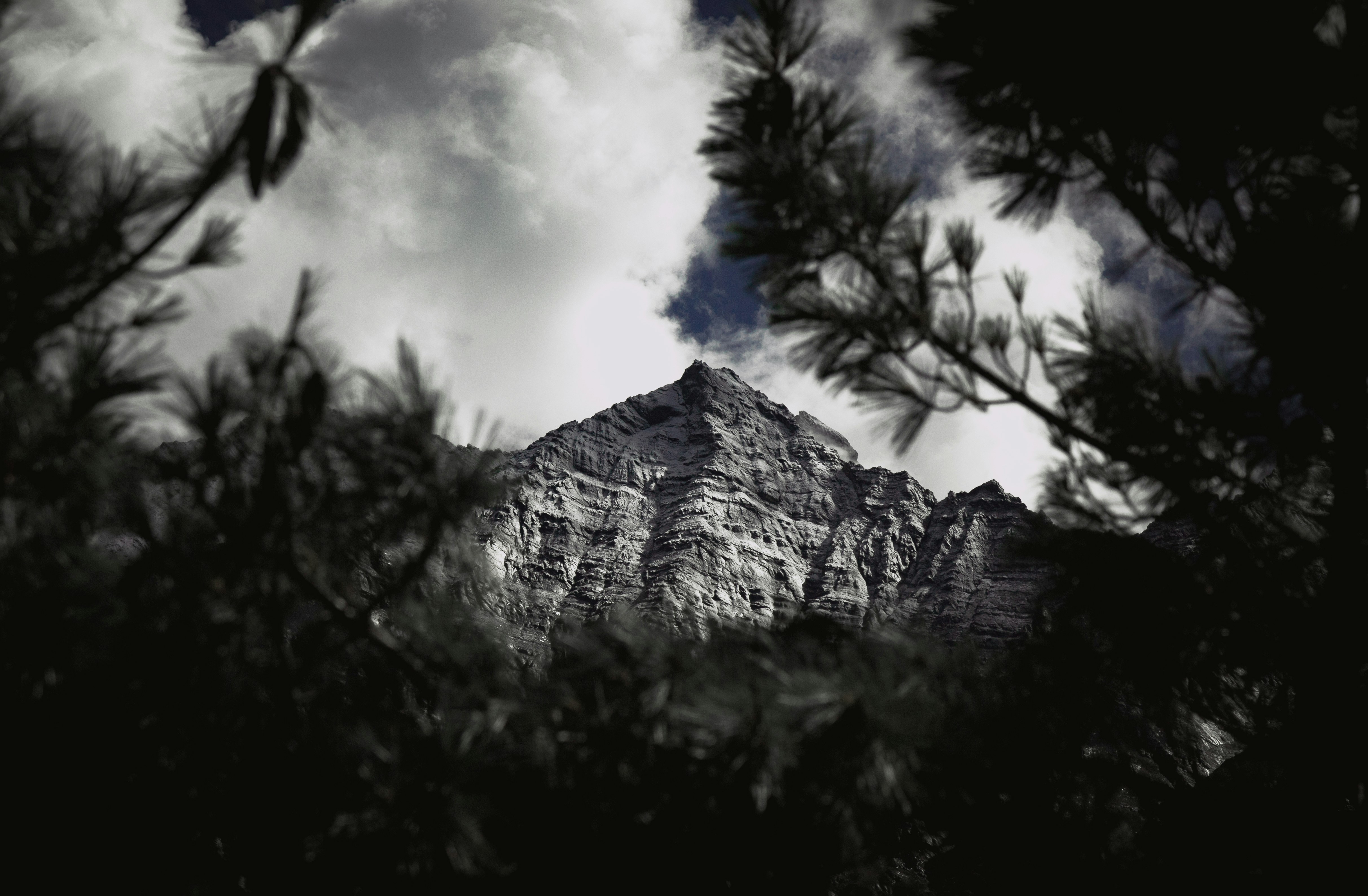 Photo by ashokjkshetri