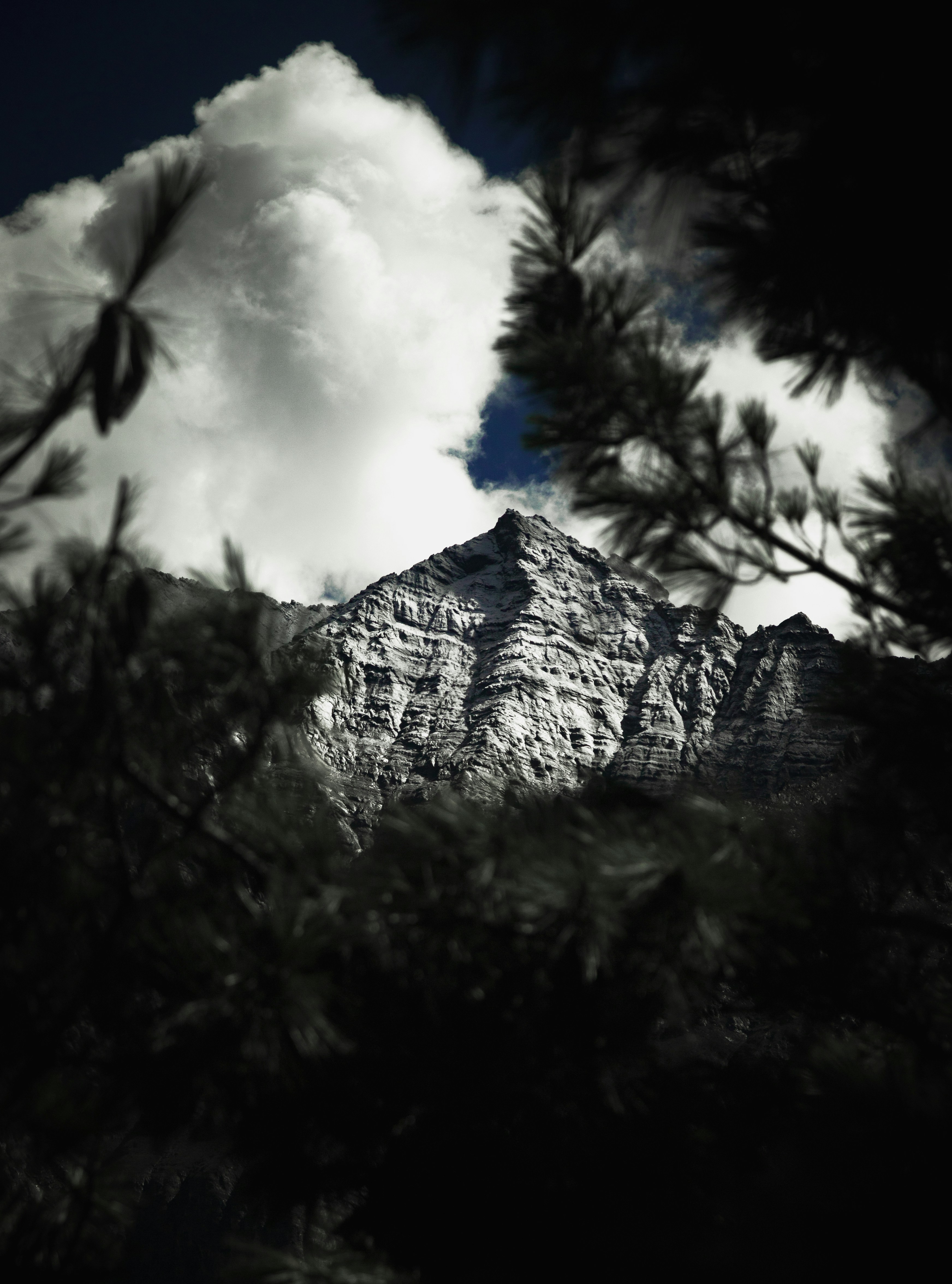 Photo by ashokjkshetri