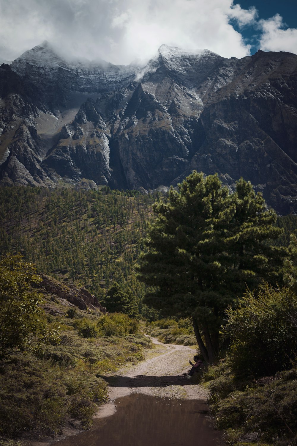 a dirt road surrounded by trees and mountains