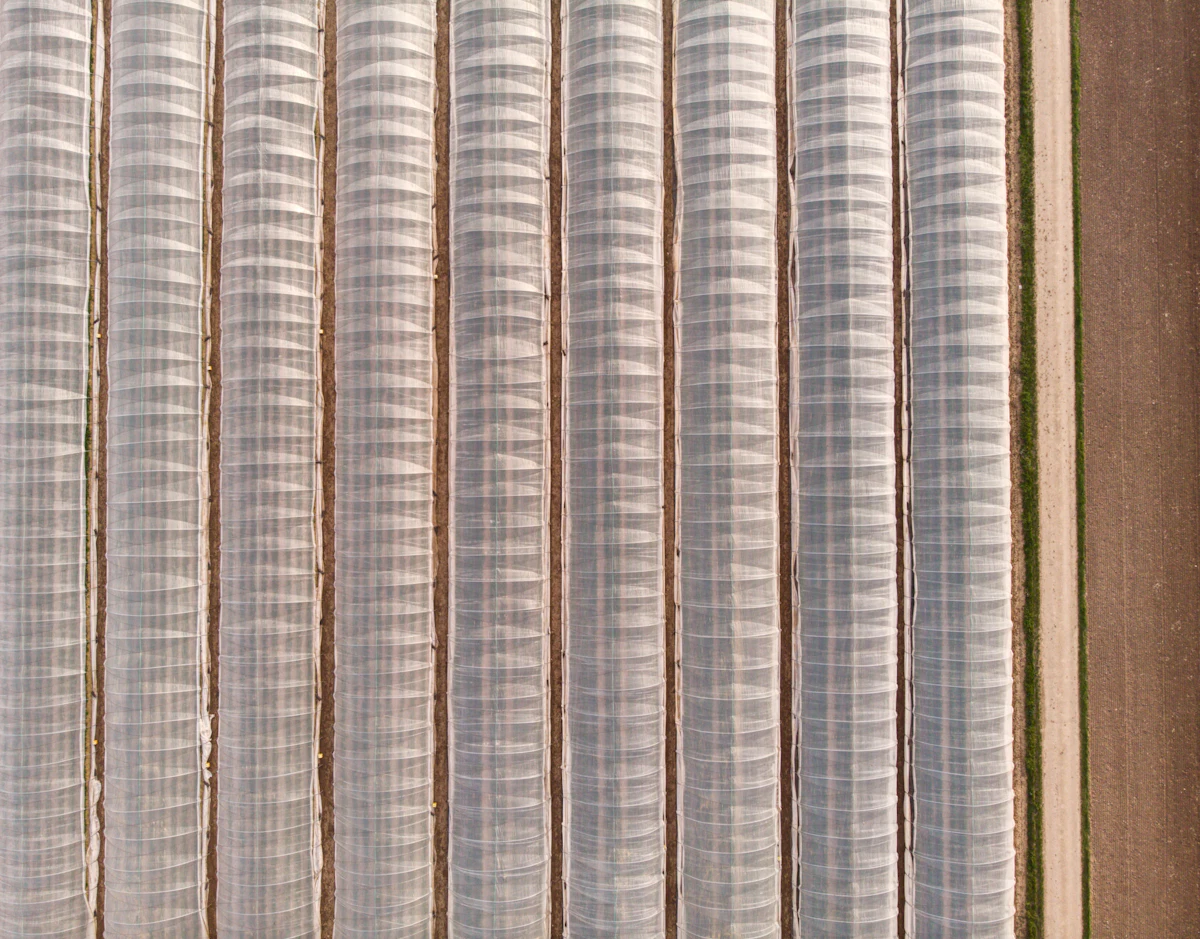 Polycarbonate complex