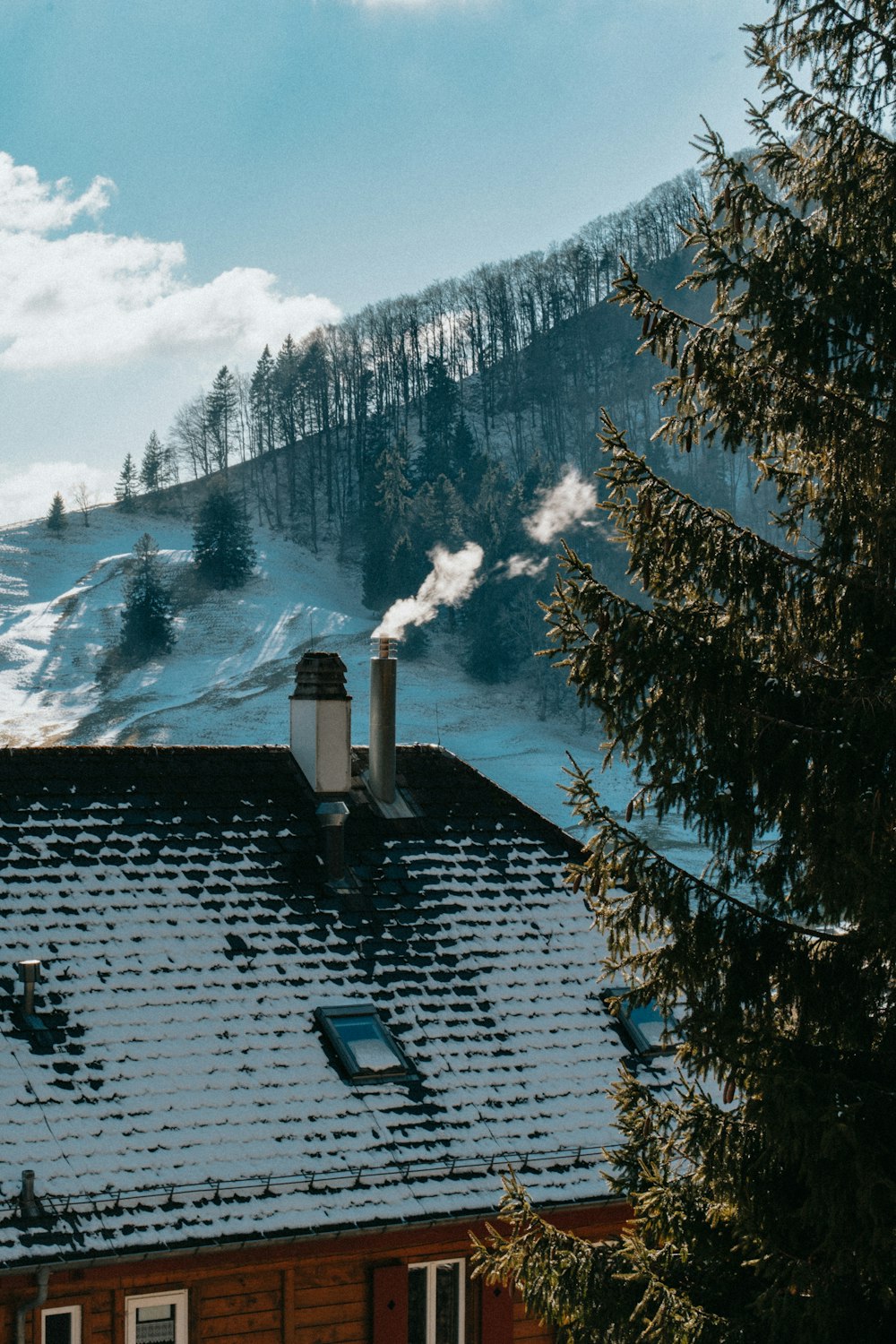 a view of a house with a mountain in the background