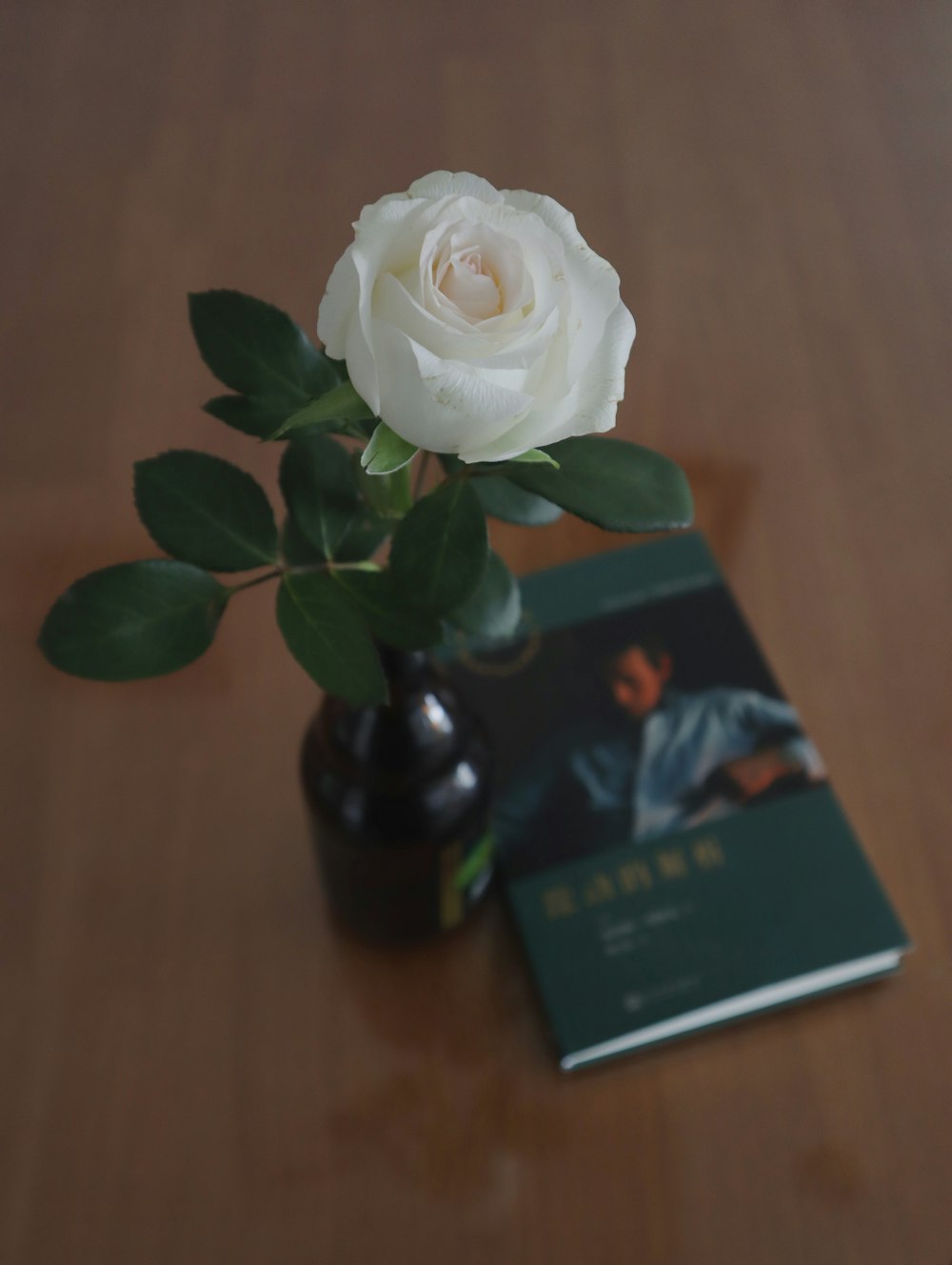 a white rose sitting on top of a table next to a book