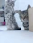 A cozy living room scene with a shy cat cautiously approaching a playful kitten.