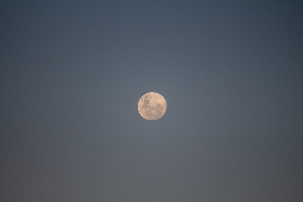 a full moon is seen in the sky