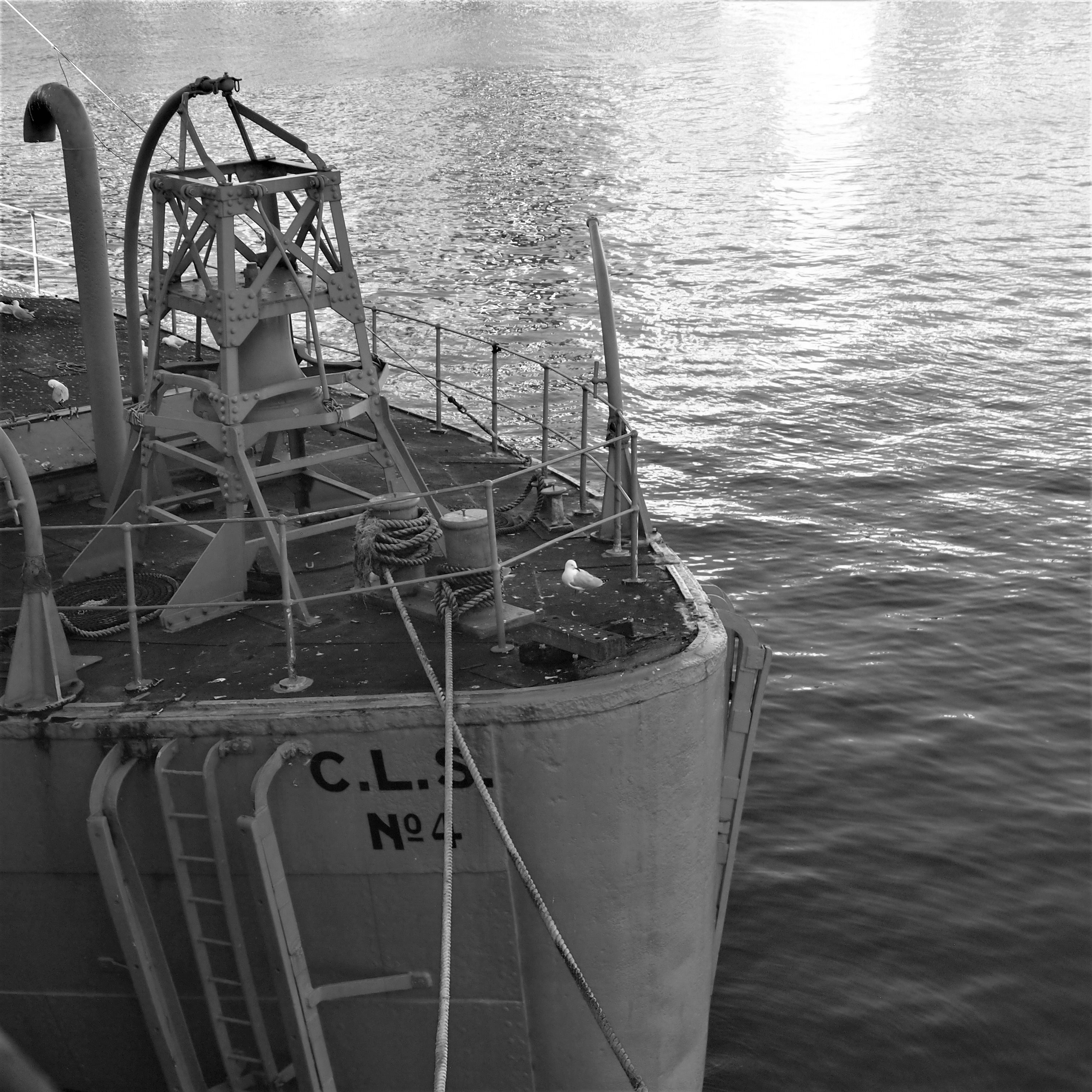 Photo by bluephoto118