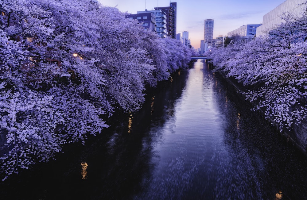 a river running through a city with tall buildings