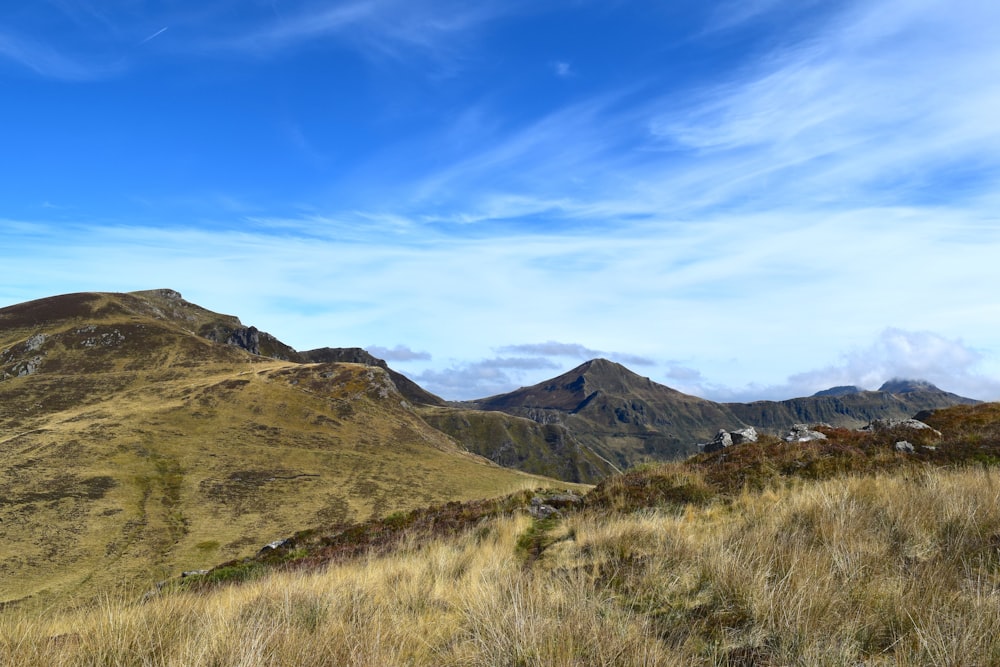 a grassy field with mountains in the background