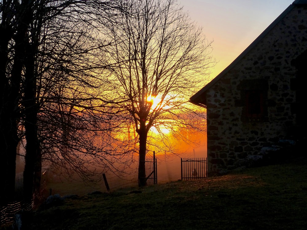 the sun is setting over a foggy field