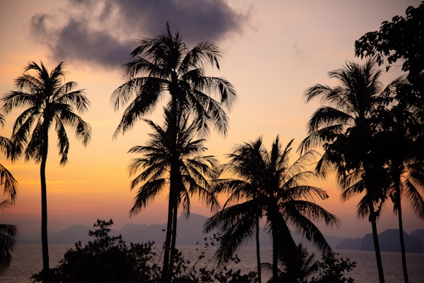 Exploring Phang Nga: Insider's Guide