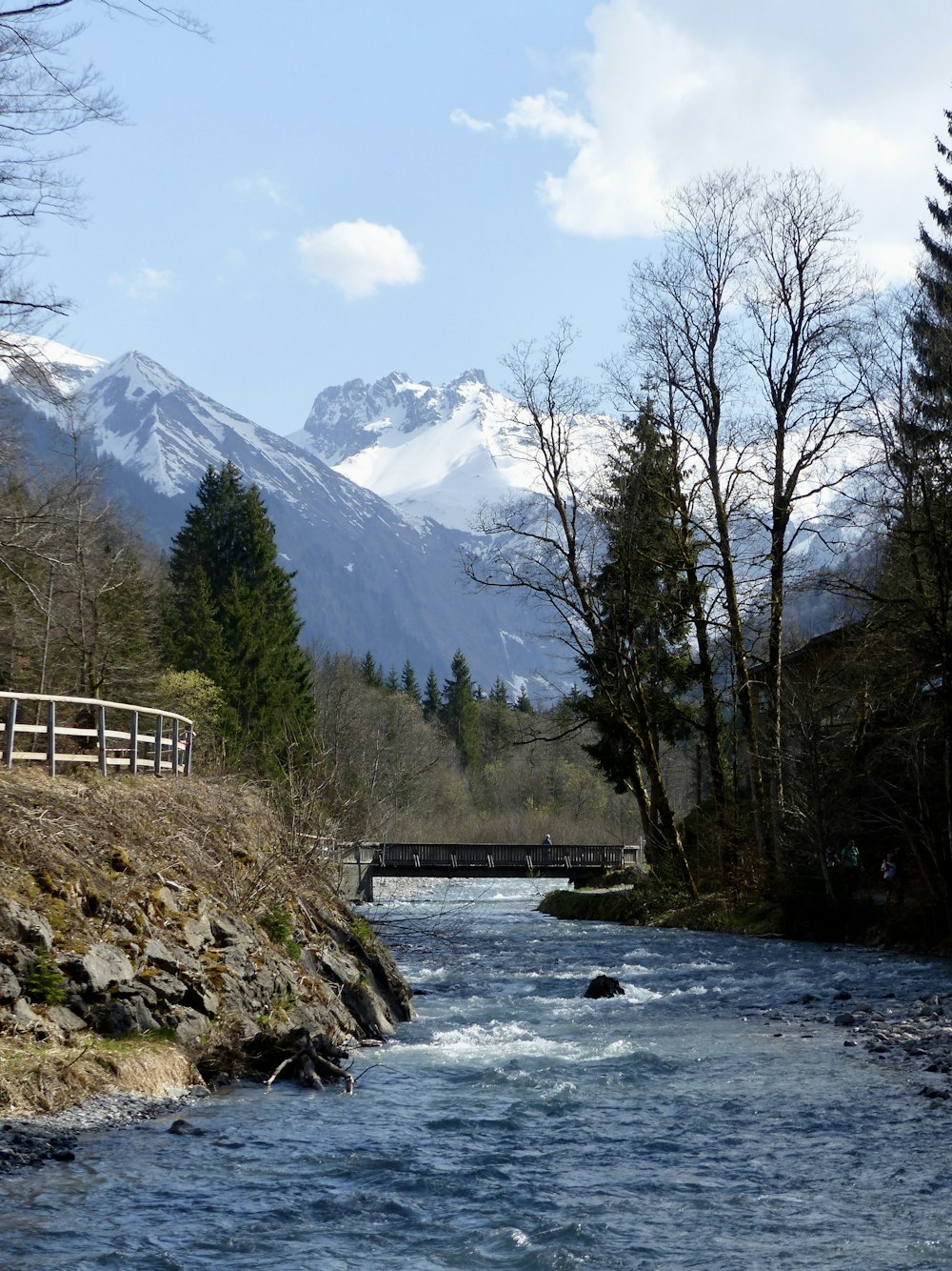 une rivière qui coule à travers une forêt verdoyante