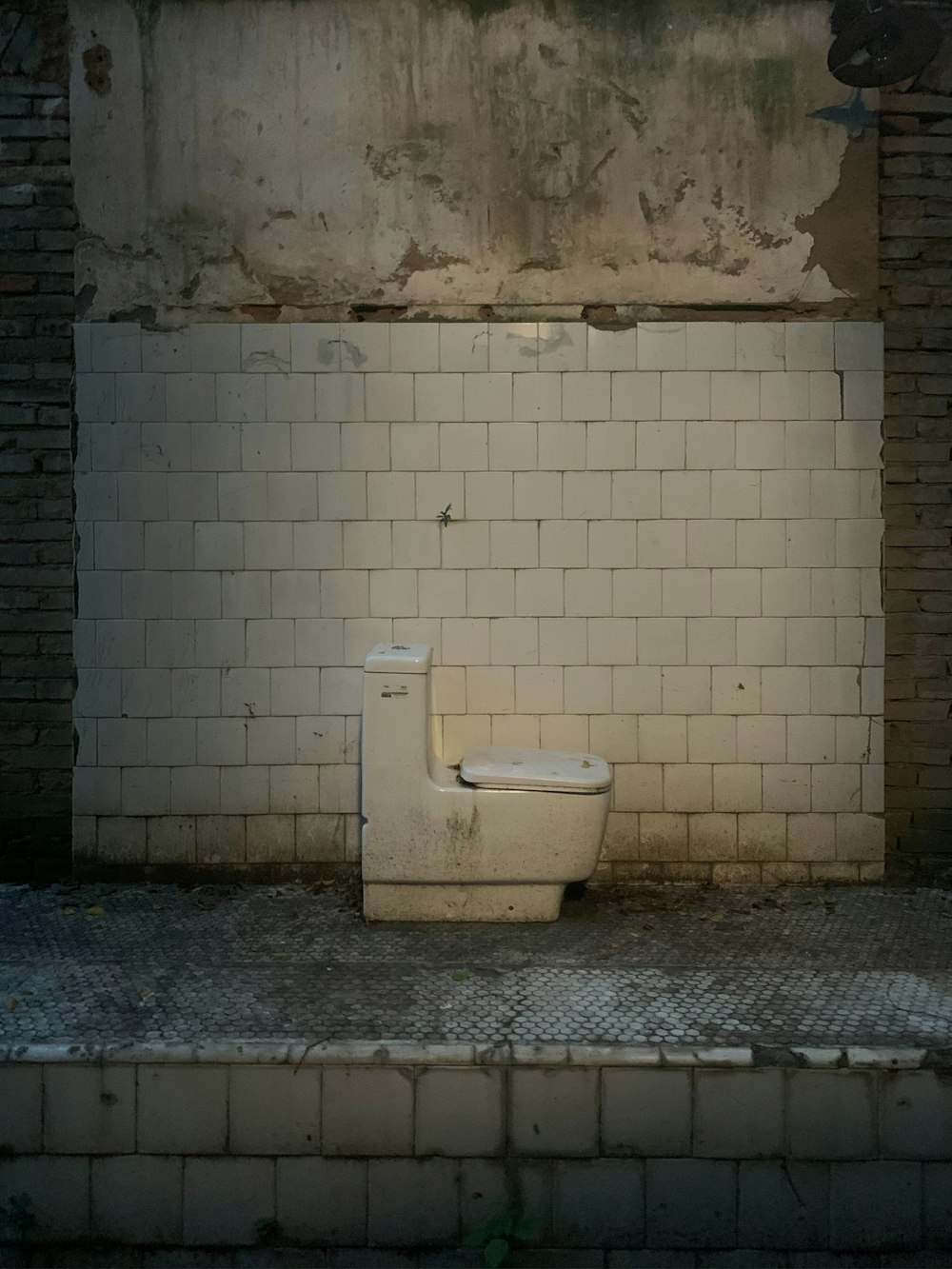 a white toilet sitting next to a brick wall