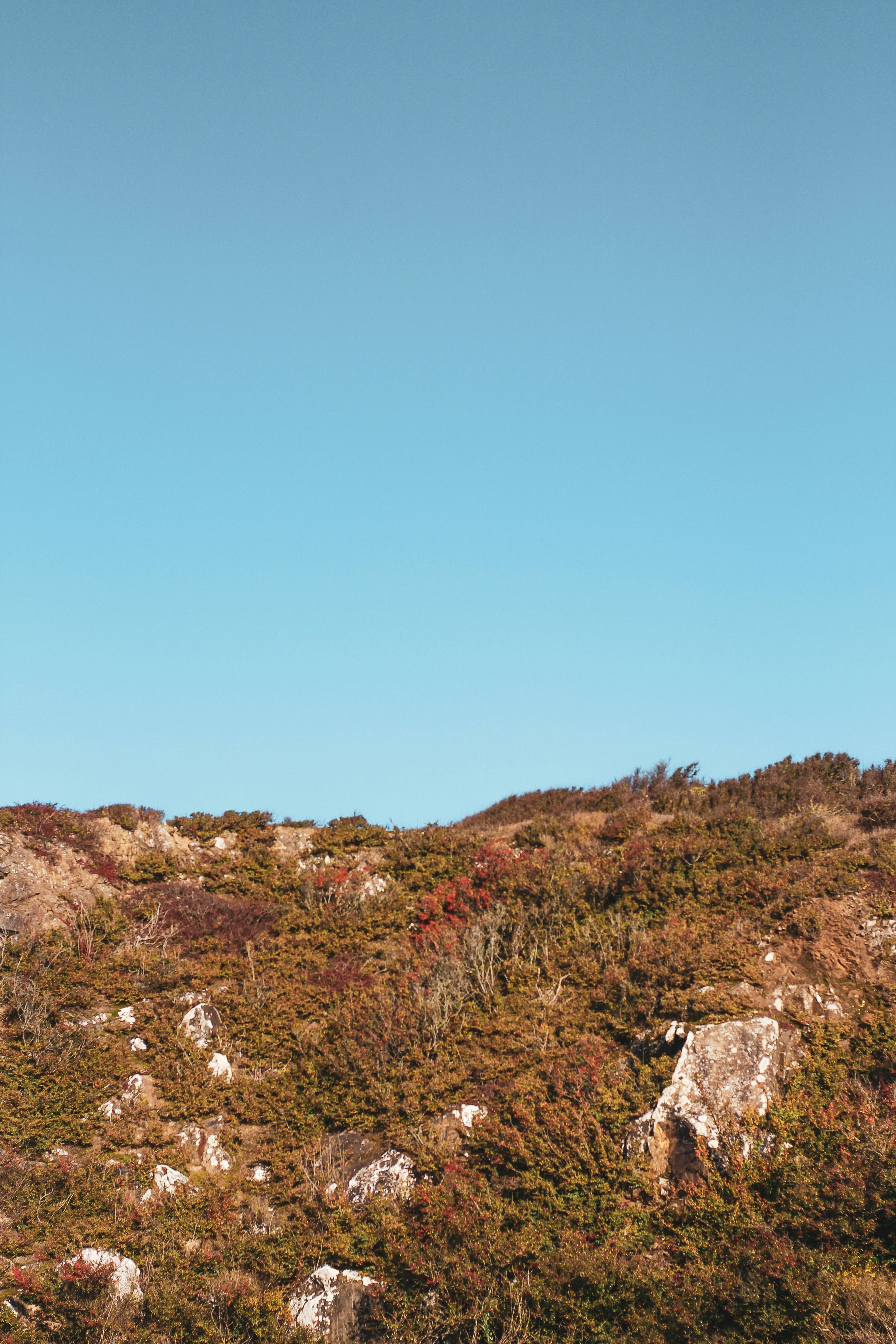 Photo by secondsight