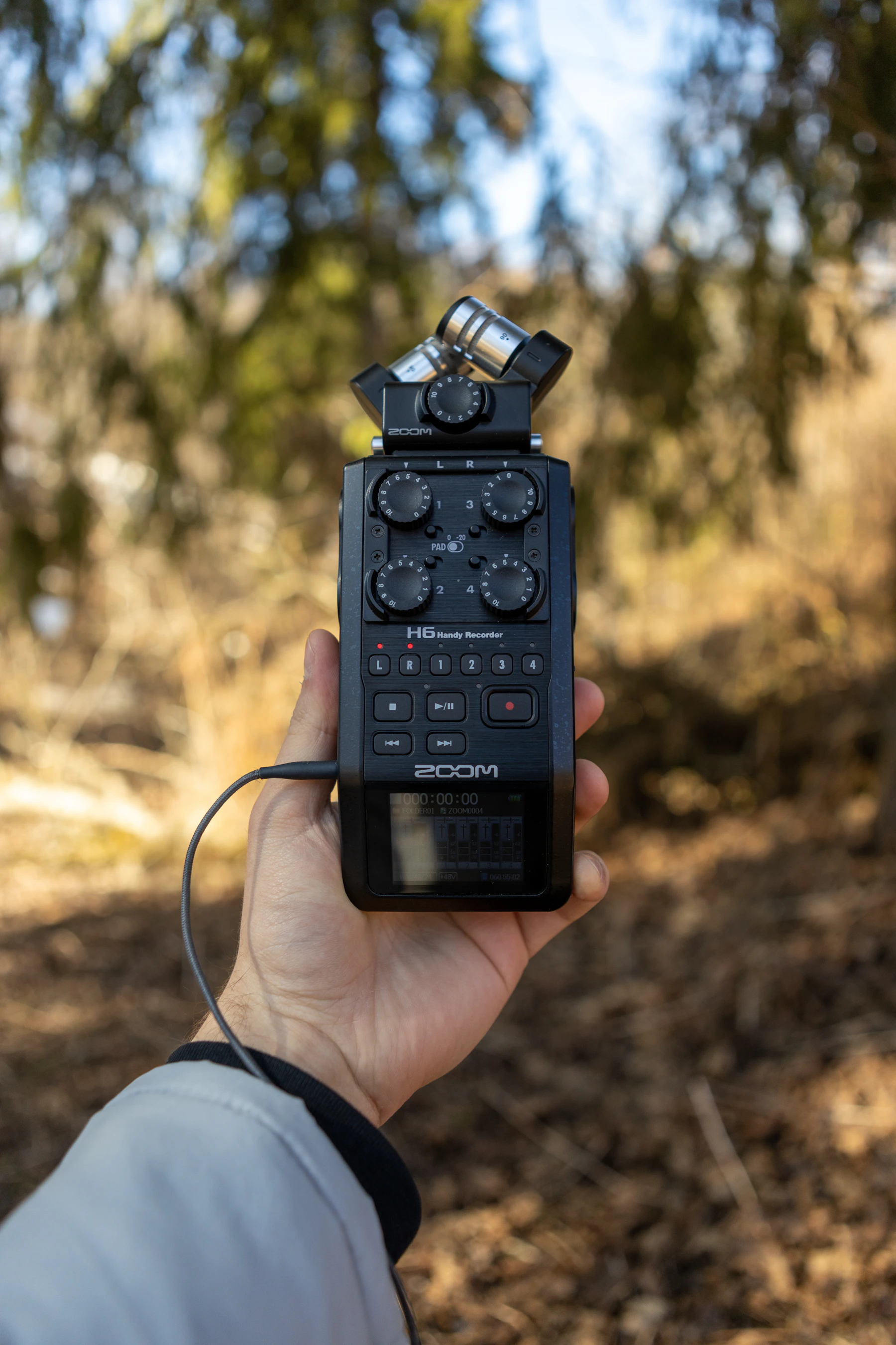 A hand holding a black handheld audio recorder with a cable attached, dry brush out of focus behind it