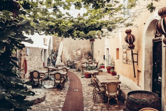 a courtyard with tables and chairs under a tree