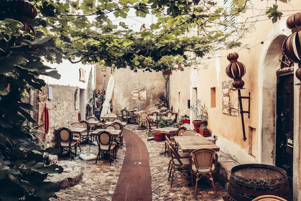 a courtyard with tables and chairs under a tree