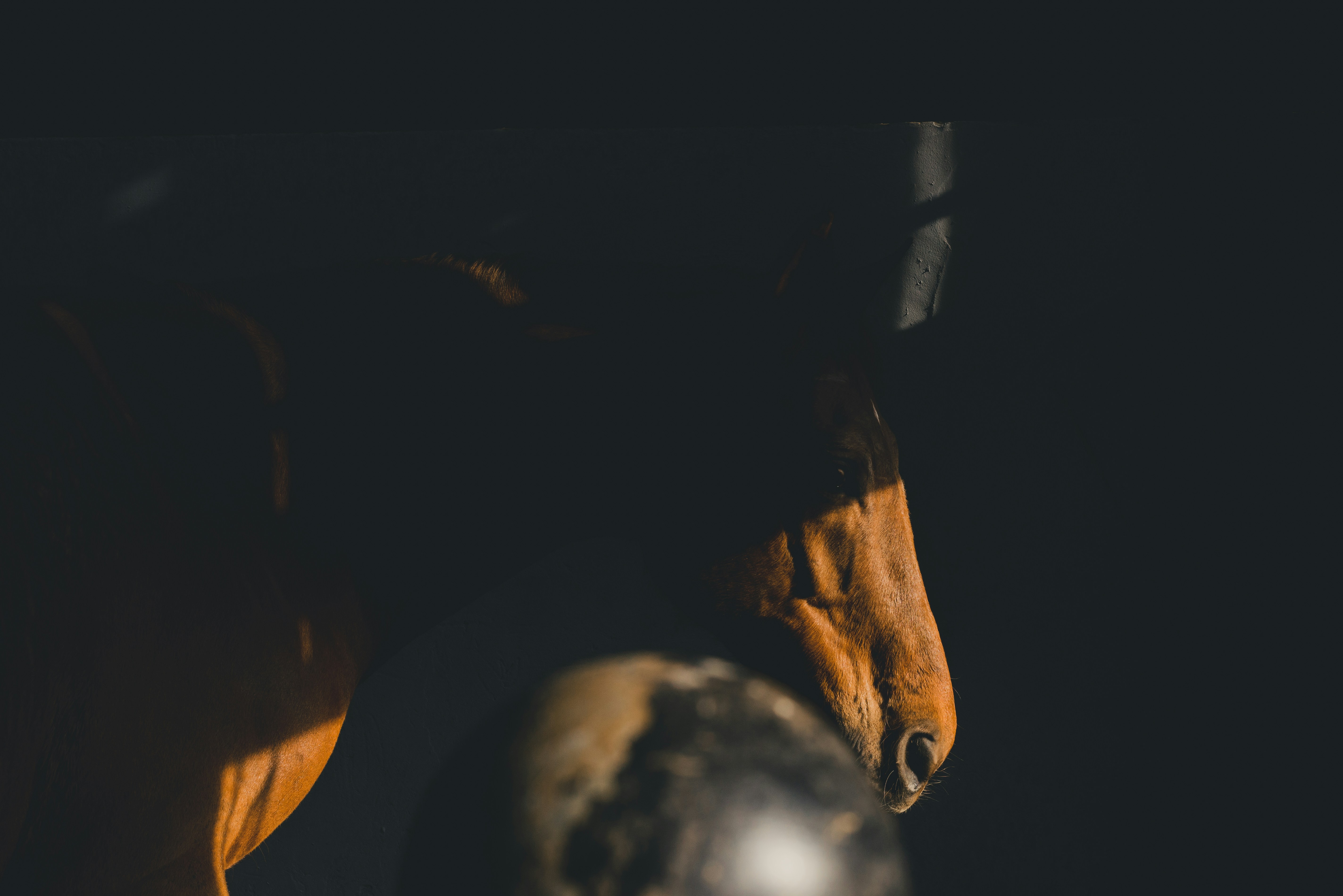 Photo by ricovandevoorde