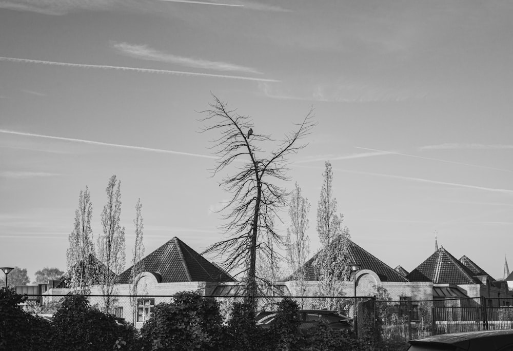 a black and white photo of a row of houses