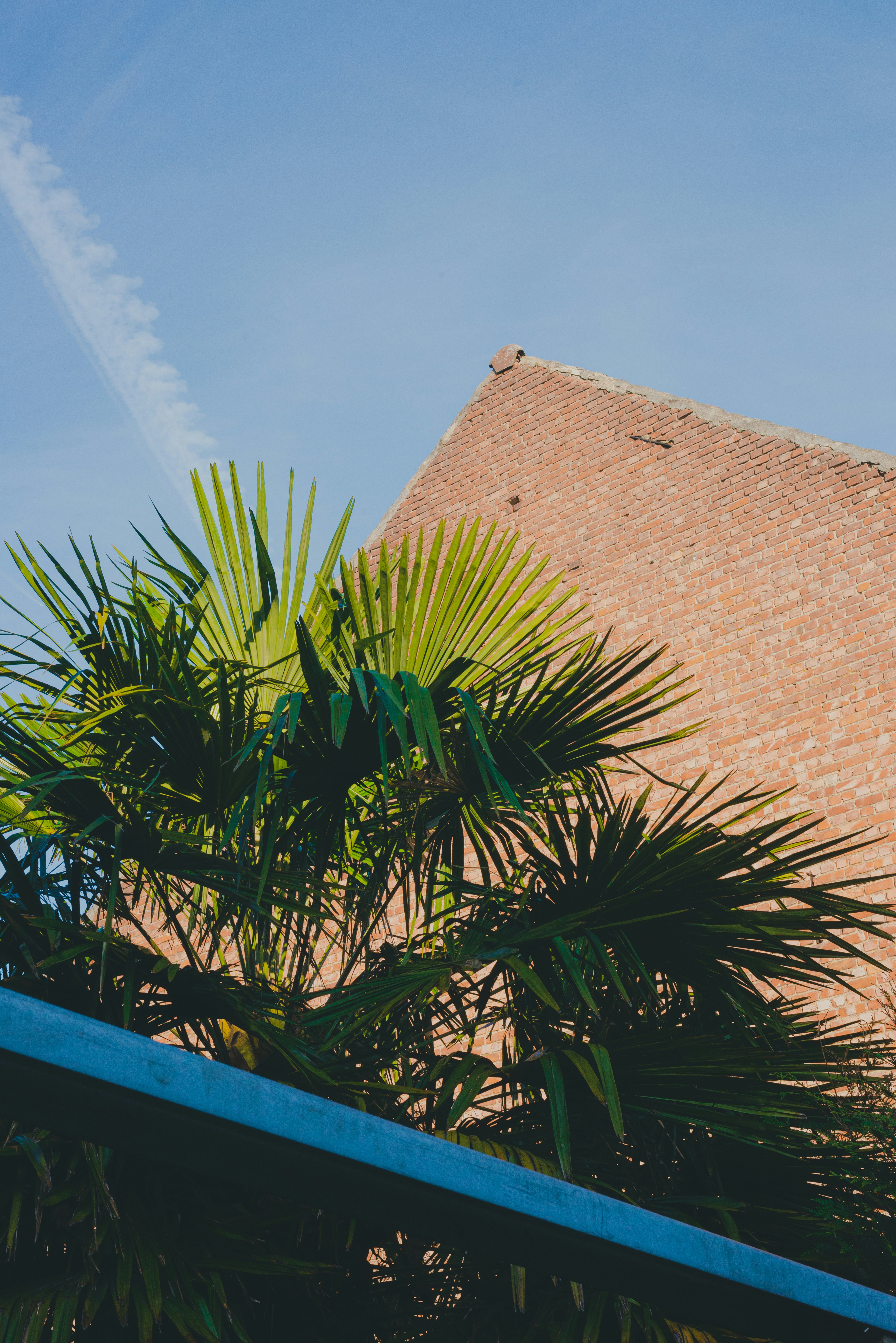 Photo by ricovandevoorde