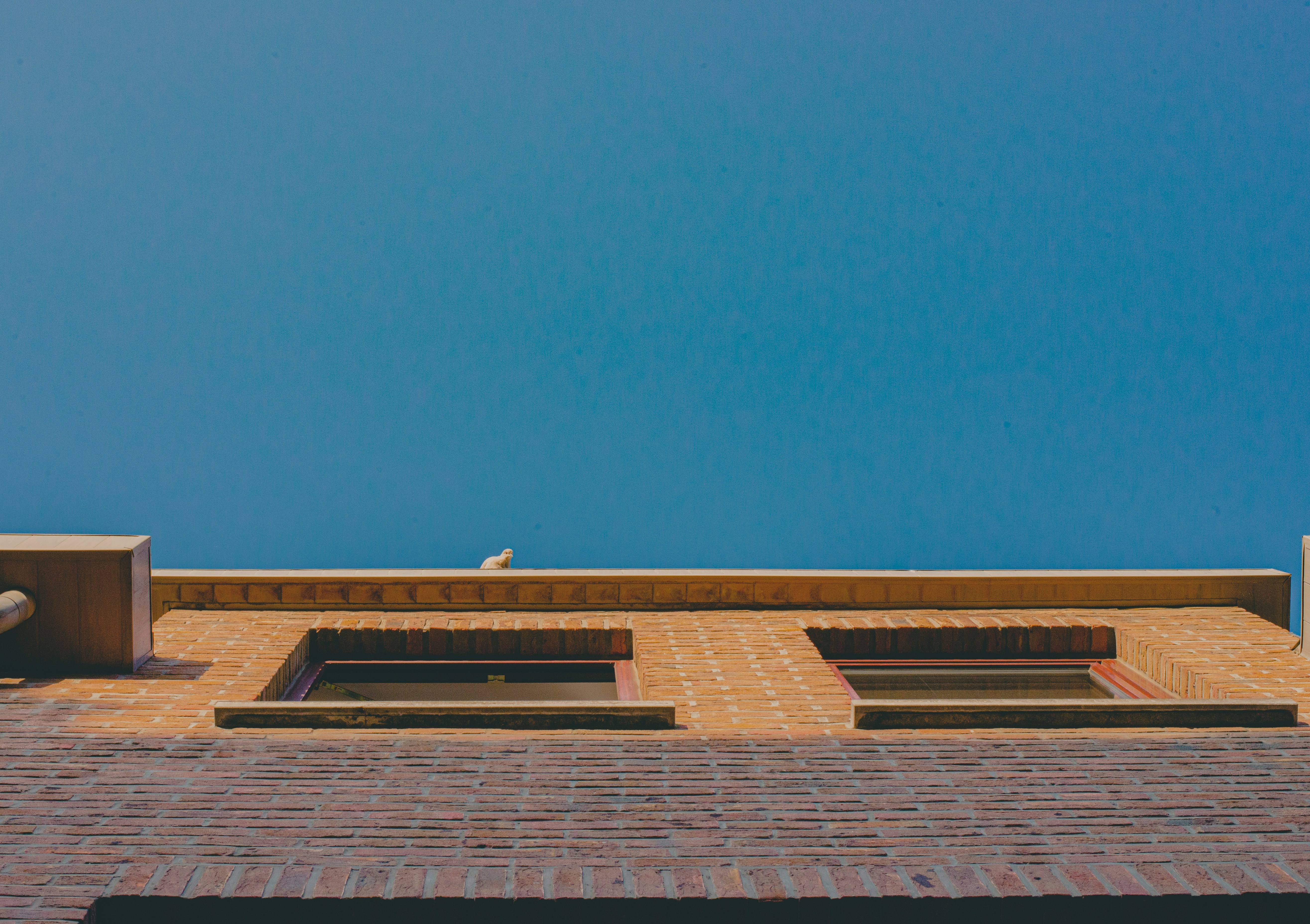 Photo by ricovandevoorde