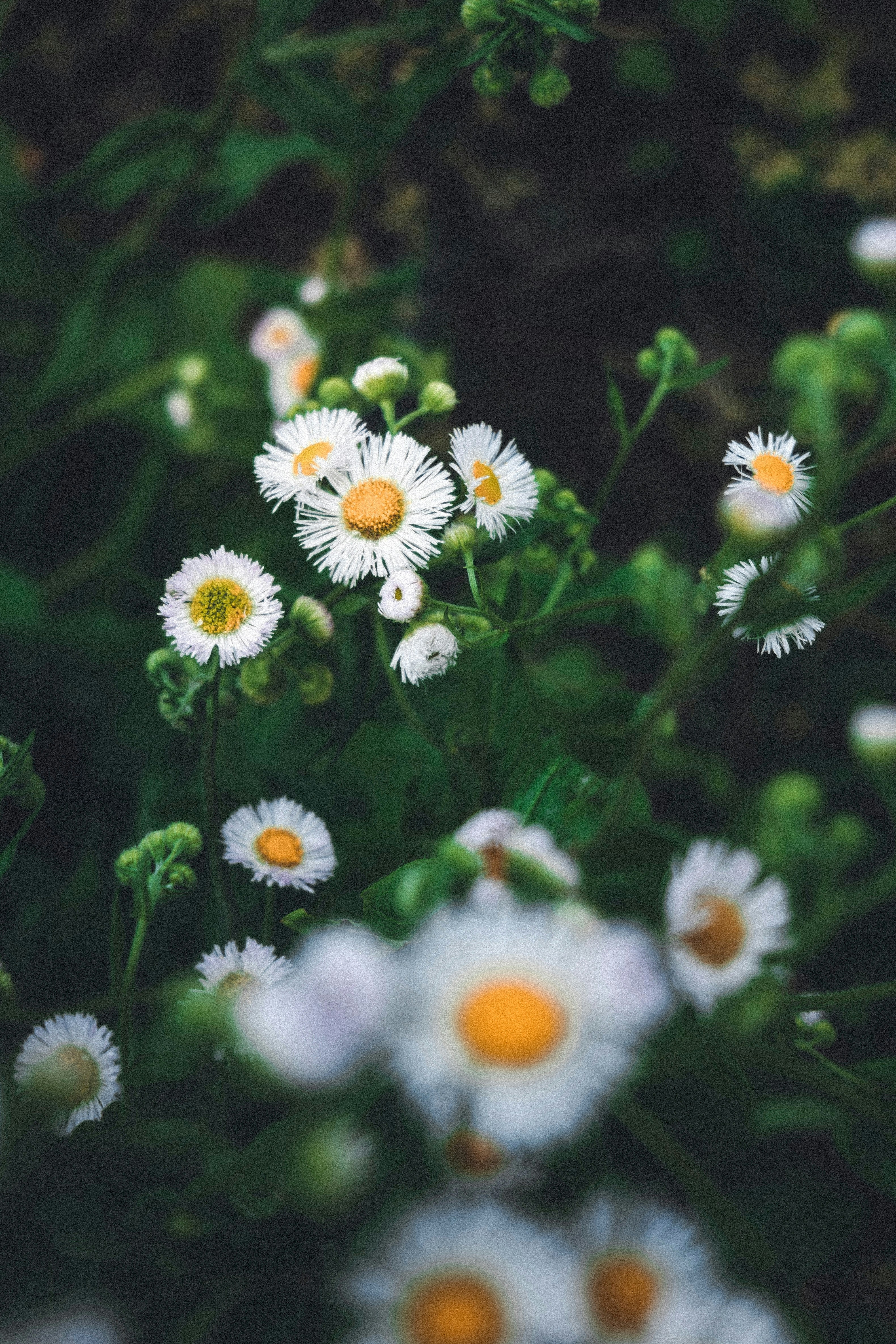 Photo by minecraftinventor