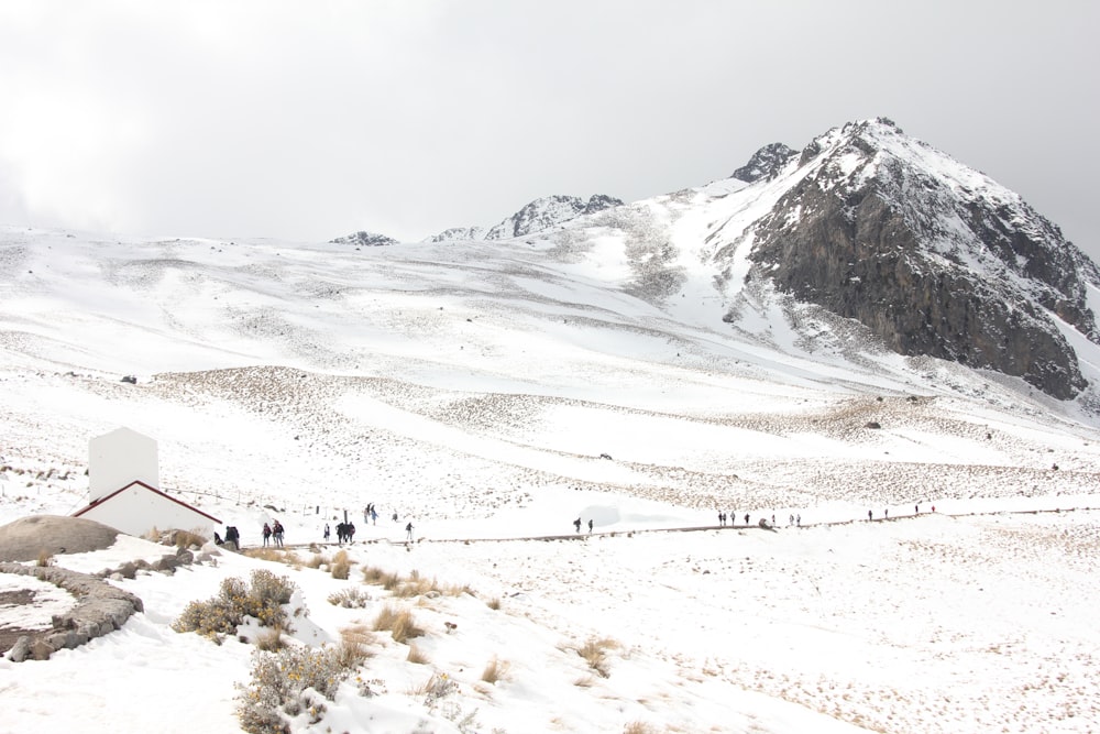 a group of people walking up a snow covered mountain