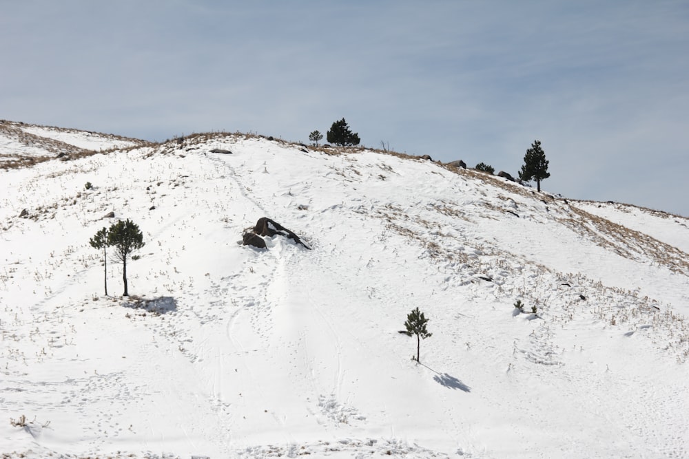 a hill covered in snow with trees on top of it