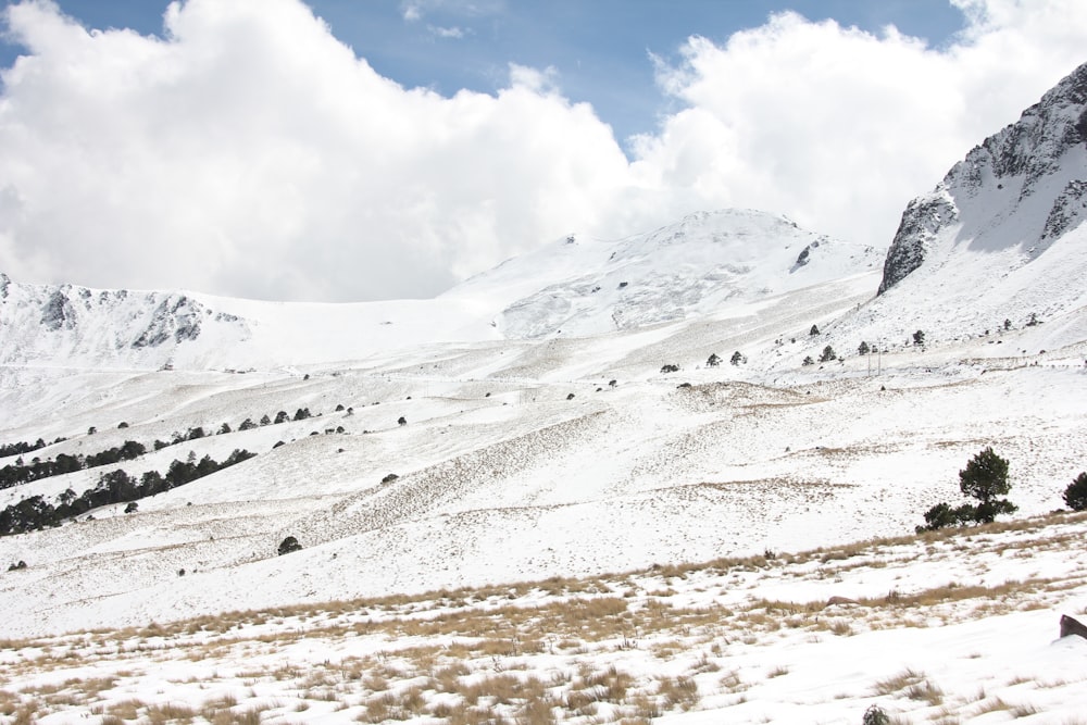 a snow covered mountain with a few trees in the foreground